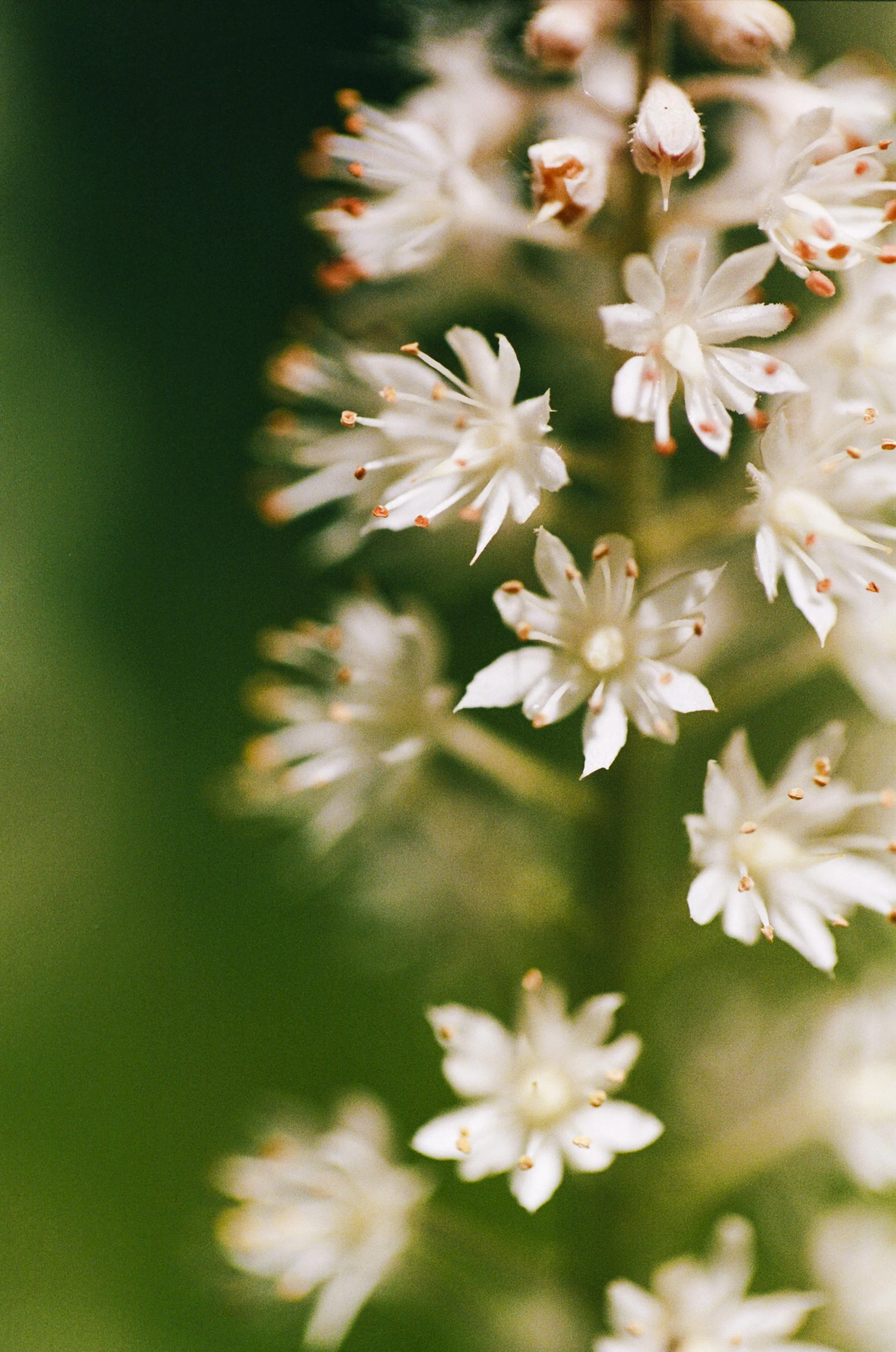 103033_JRA_003_10edit.jpg
