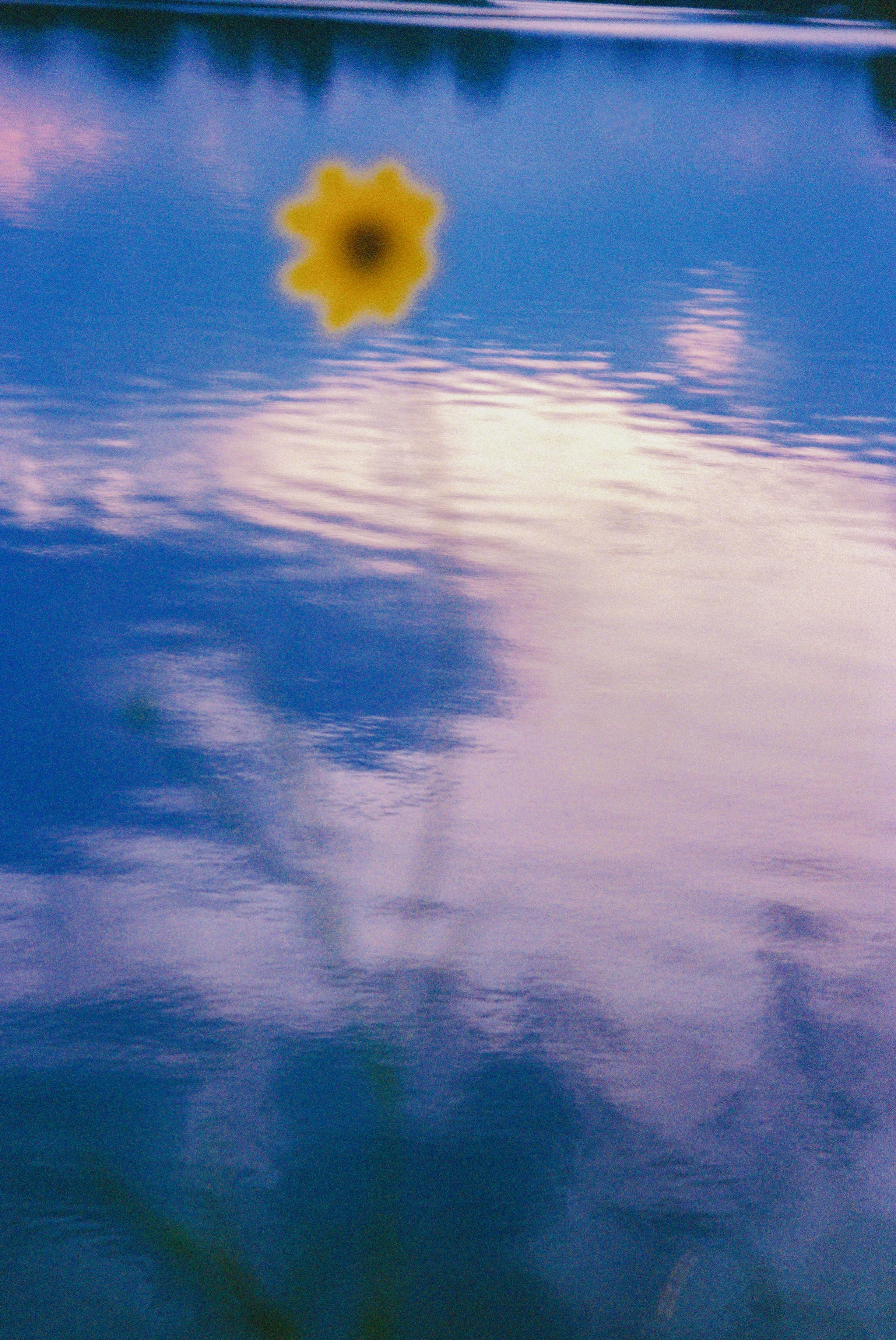 Rachid008670-R1-017 copy.jpg