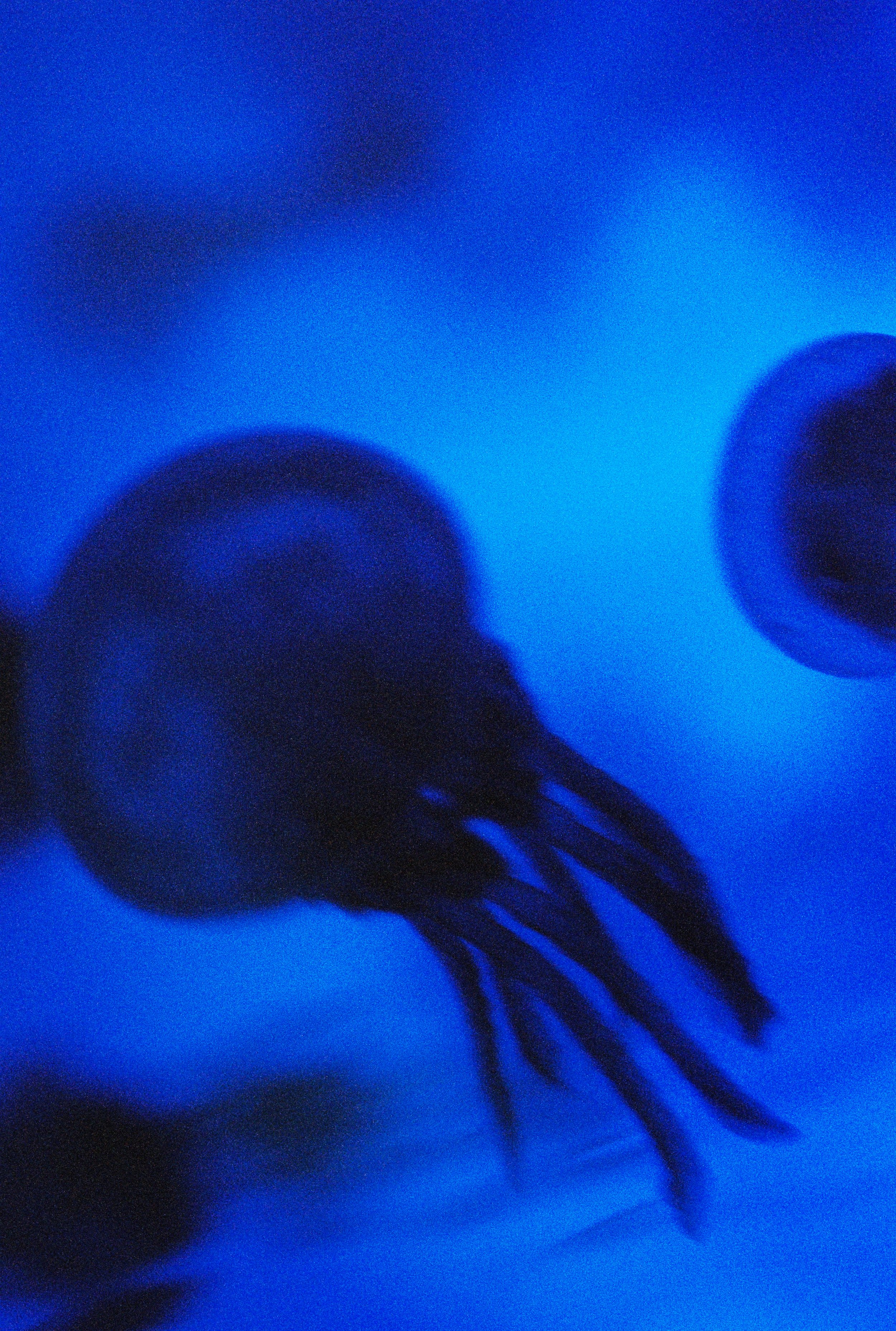 000053_aquarium2_web.jpg