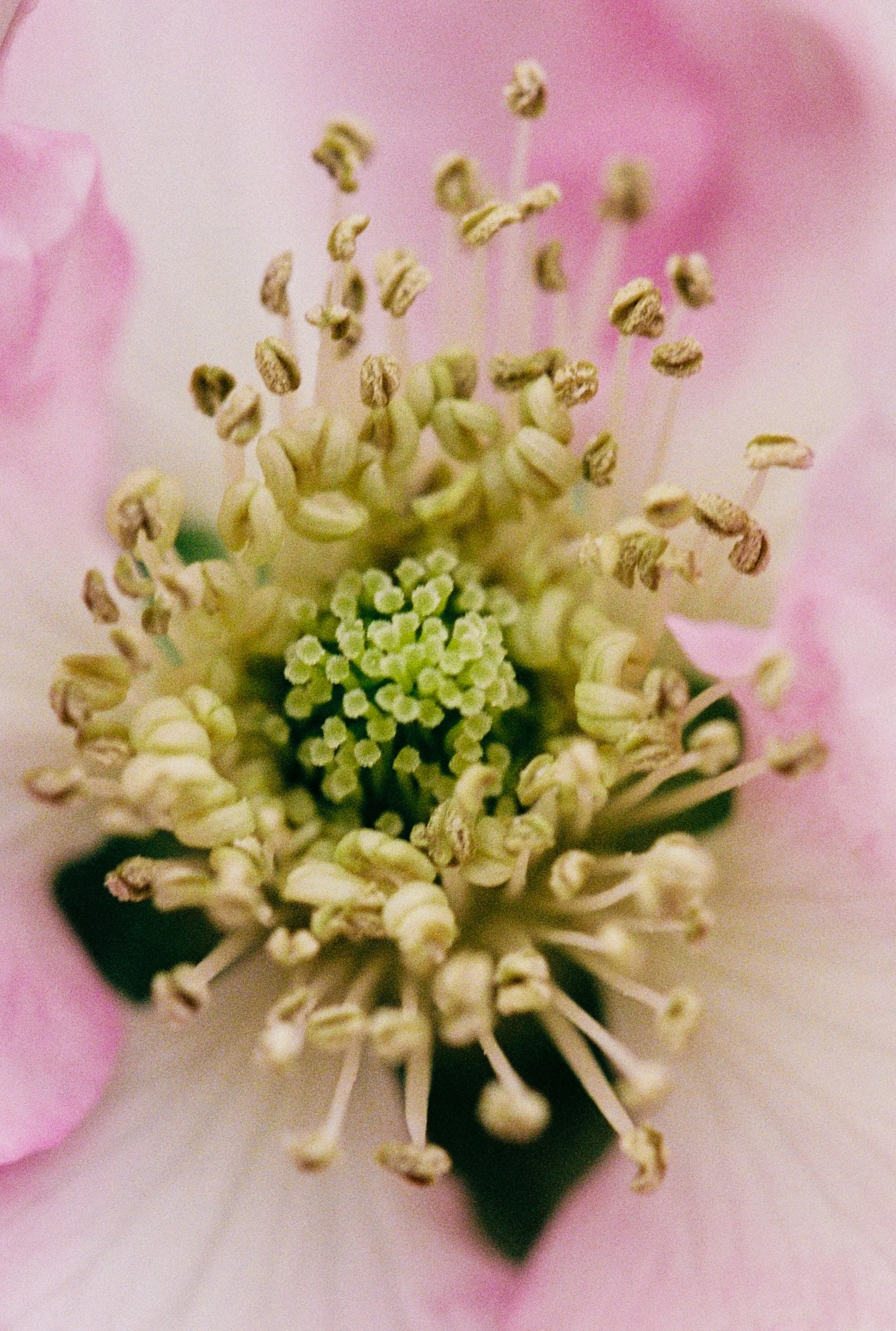 00421_000050 crop.jpg