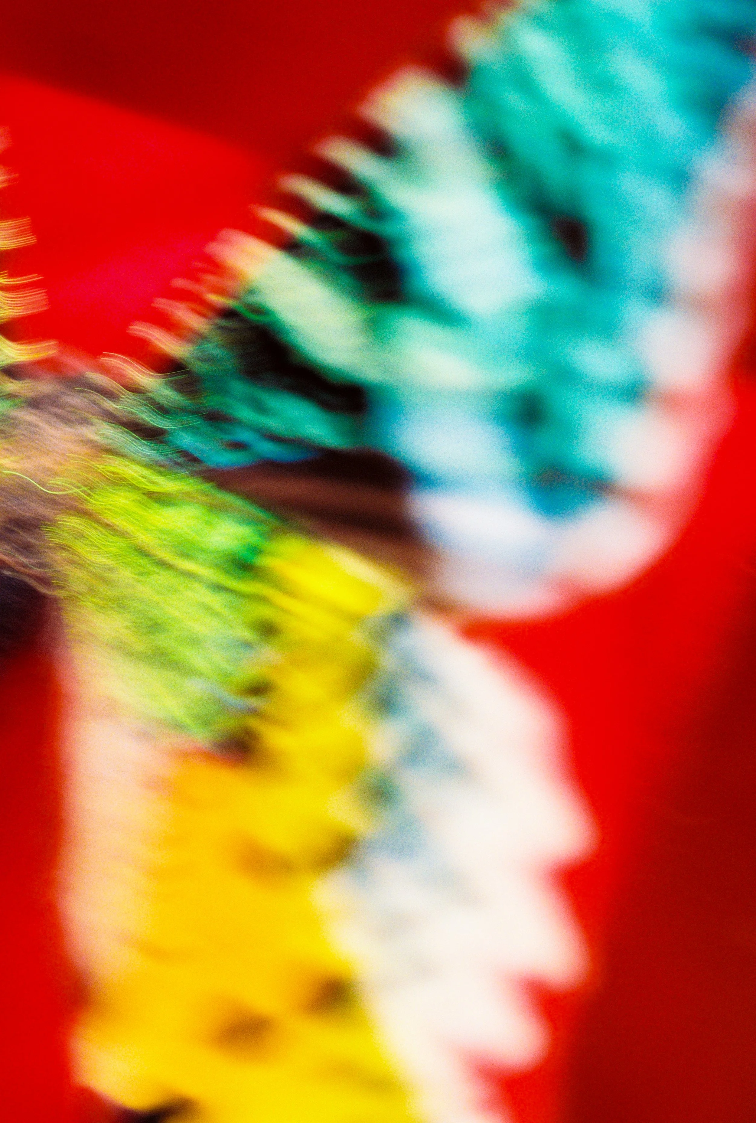 00421_000044.jpg