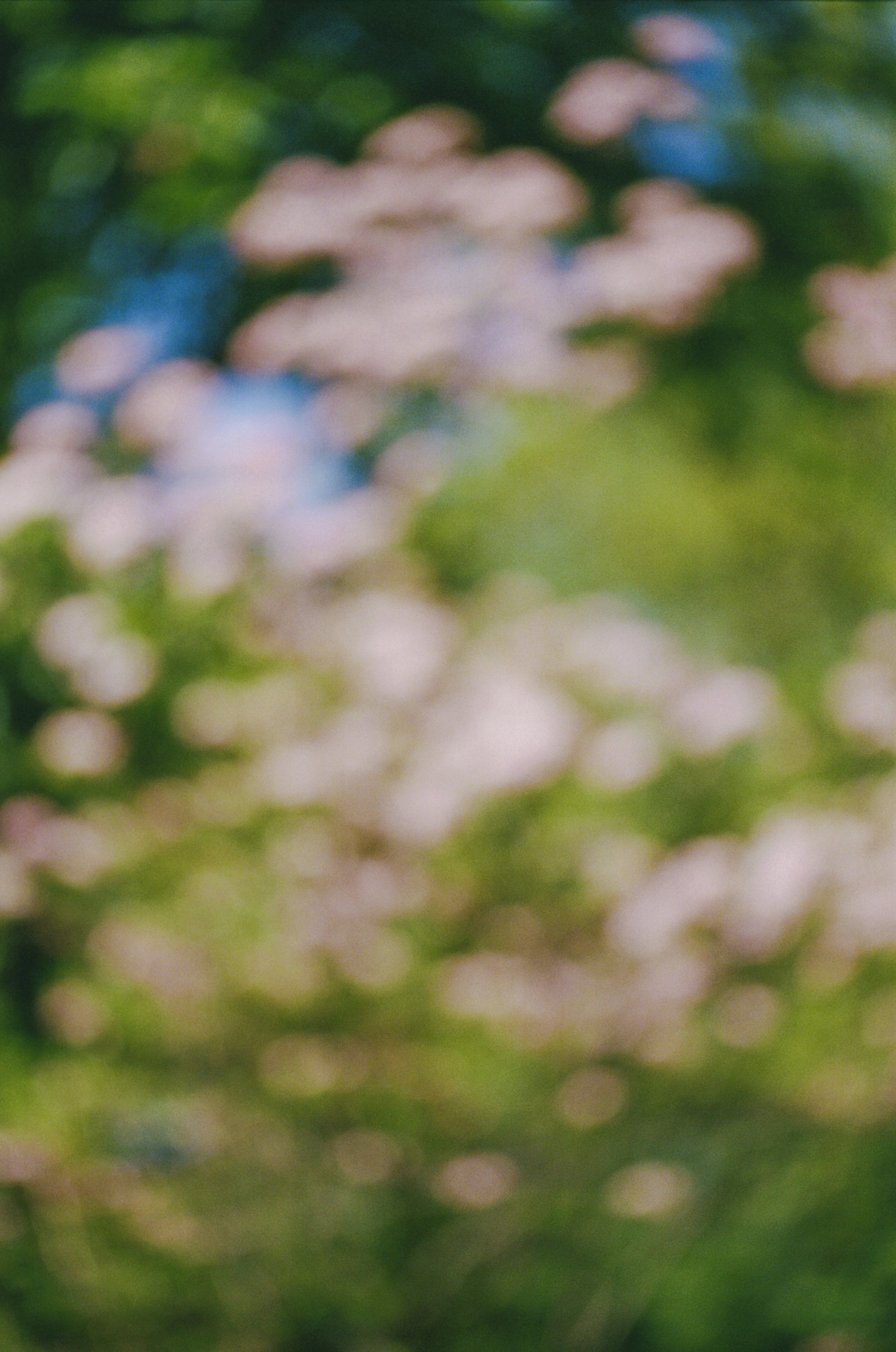 103033_JRA_003_17edit.jpg