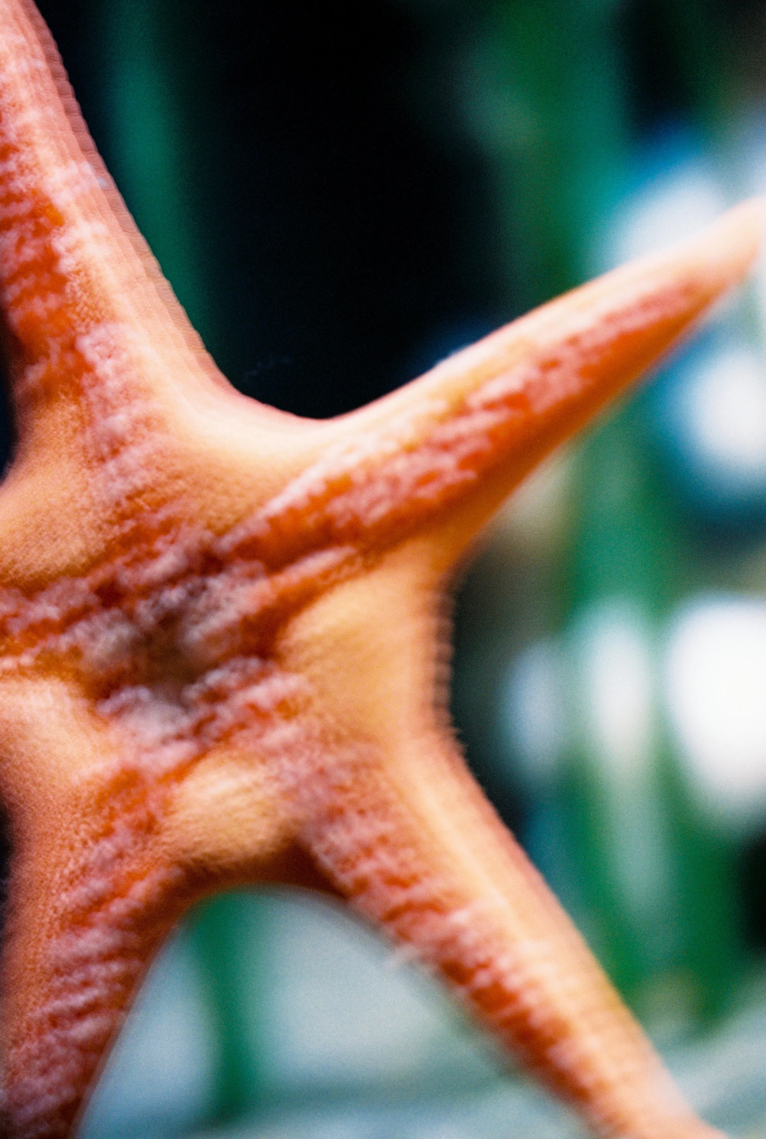 000029-1aquarium_aquarium3.jpg