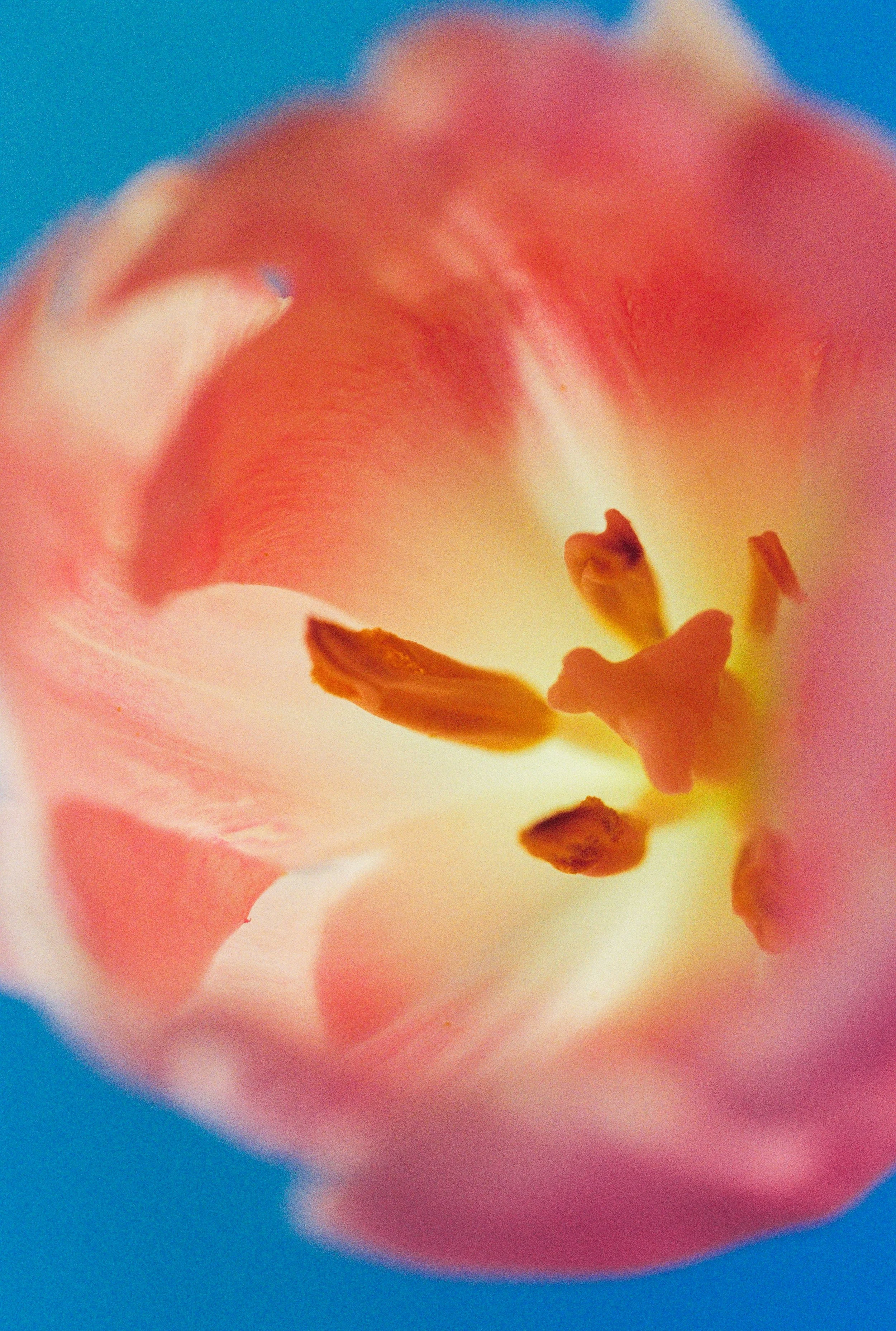 000025-1.jpg