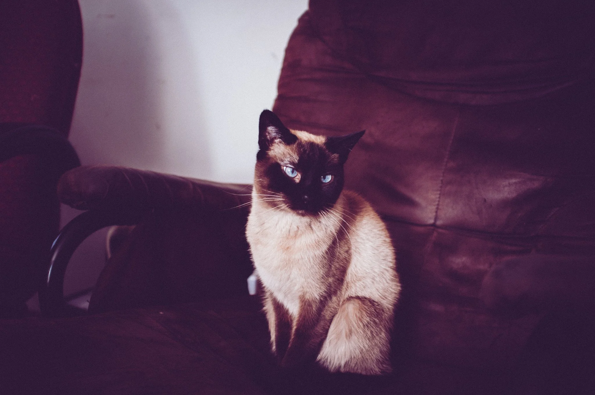 tumblr_726f9ea953ad0e36666043b278810c90_23effb51_2048.jpg