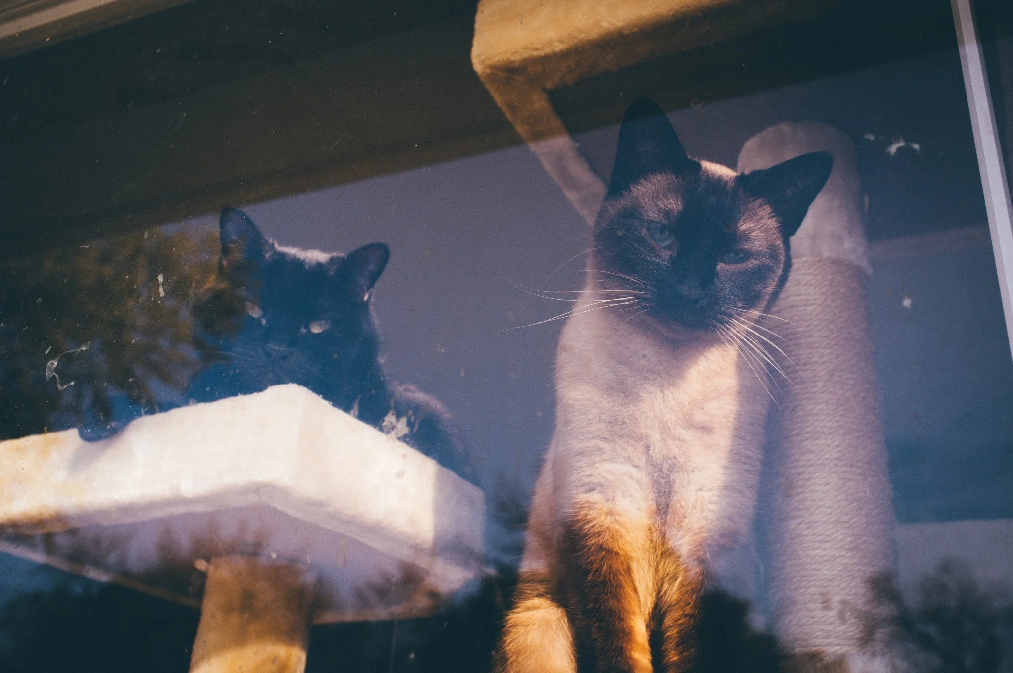tumblr_300010a3a76d1ba9d9a2e7cffac98d69_ee0bce6f_2048.jpg
