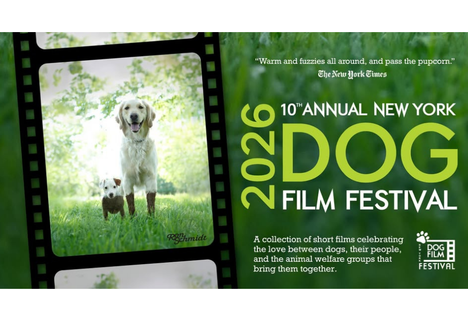 2026 Dog Film Festival at the Glenwood Arts - March 14