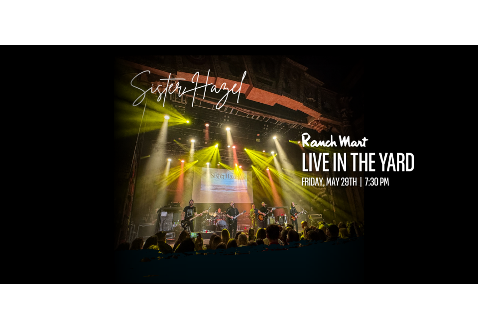 Sister Hazel, Live in the Yard