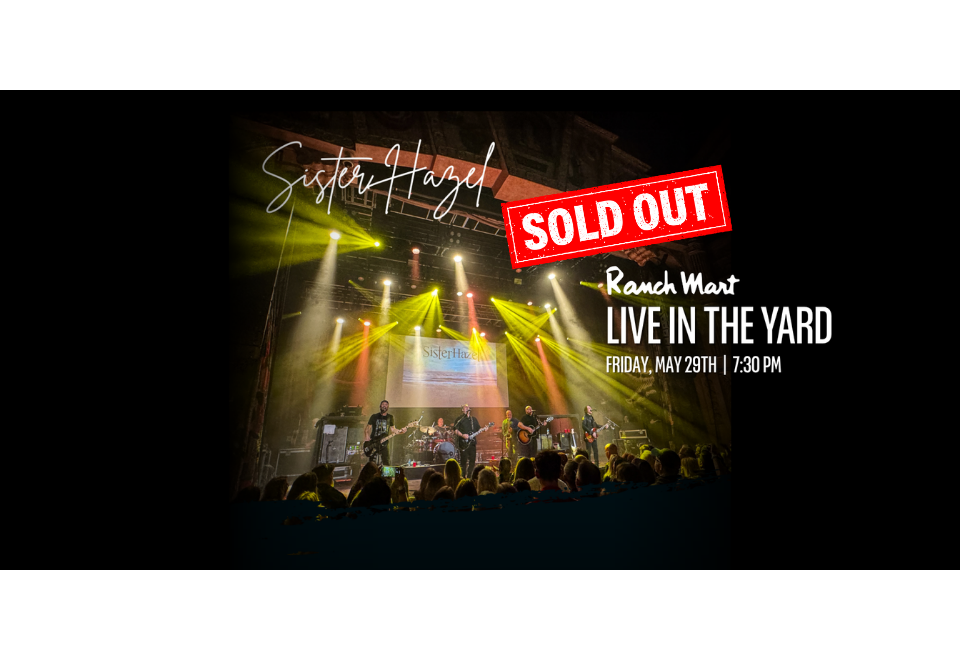 Sister Hazel, Live in the Yard - SOLD OUT!