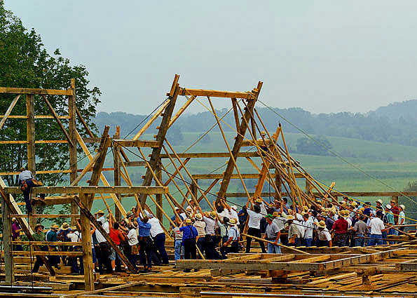 VOLUNTEER DAY: BUILDING / CARPENTRY