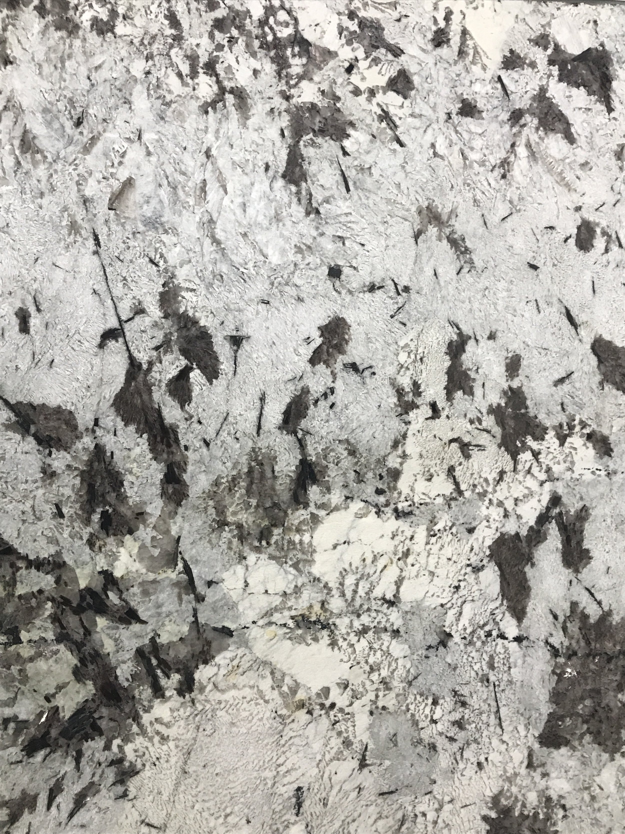 Everest White 