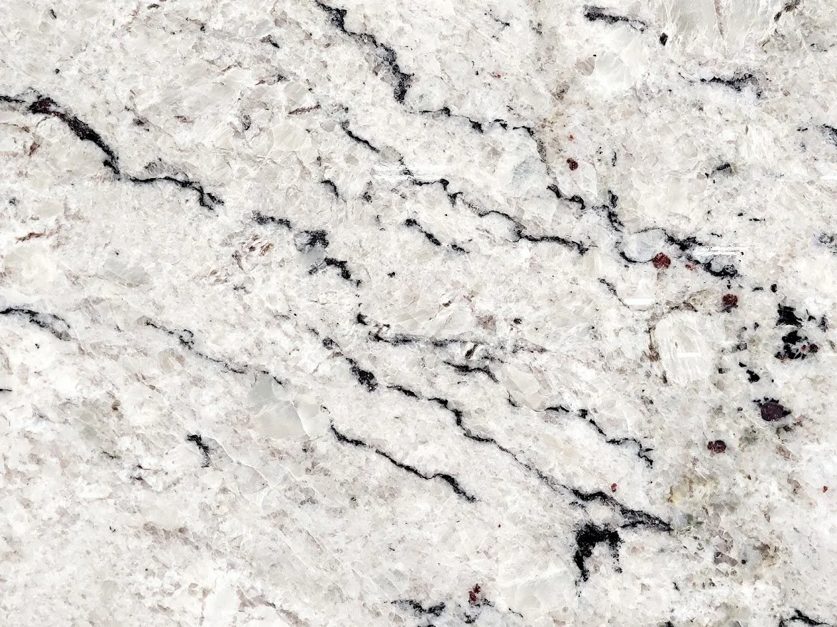 Delicatus White 