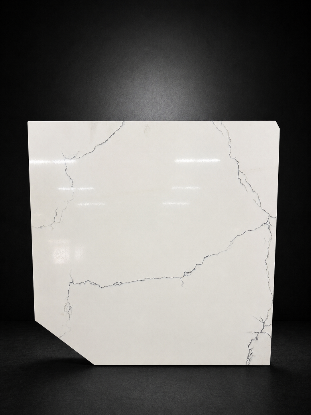 Calacatta Palermo 

1012

26 x 25.5