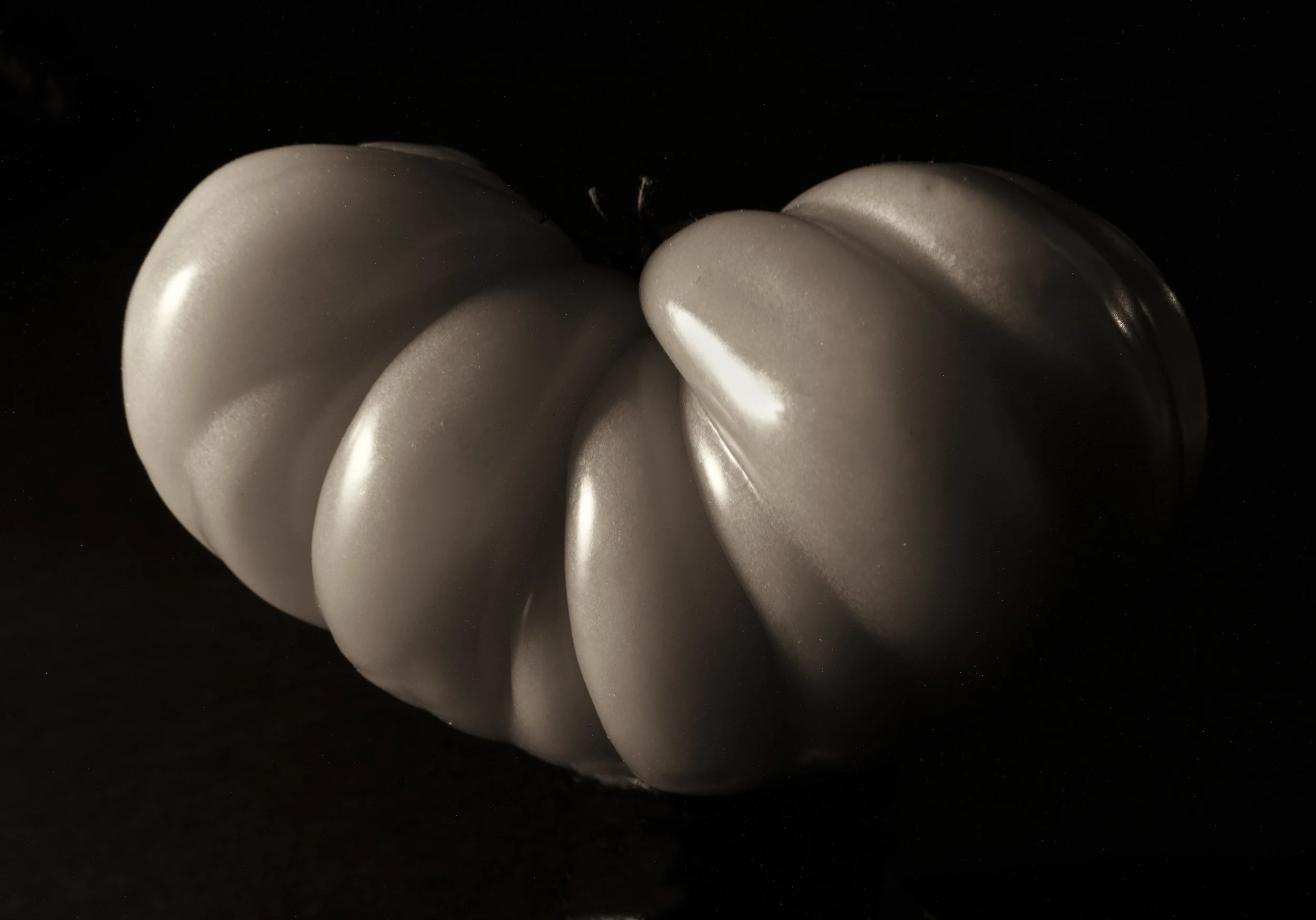 untitled (202 of 202).jpg