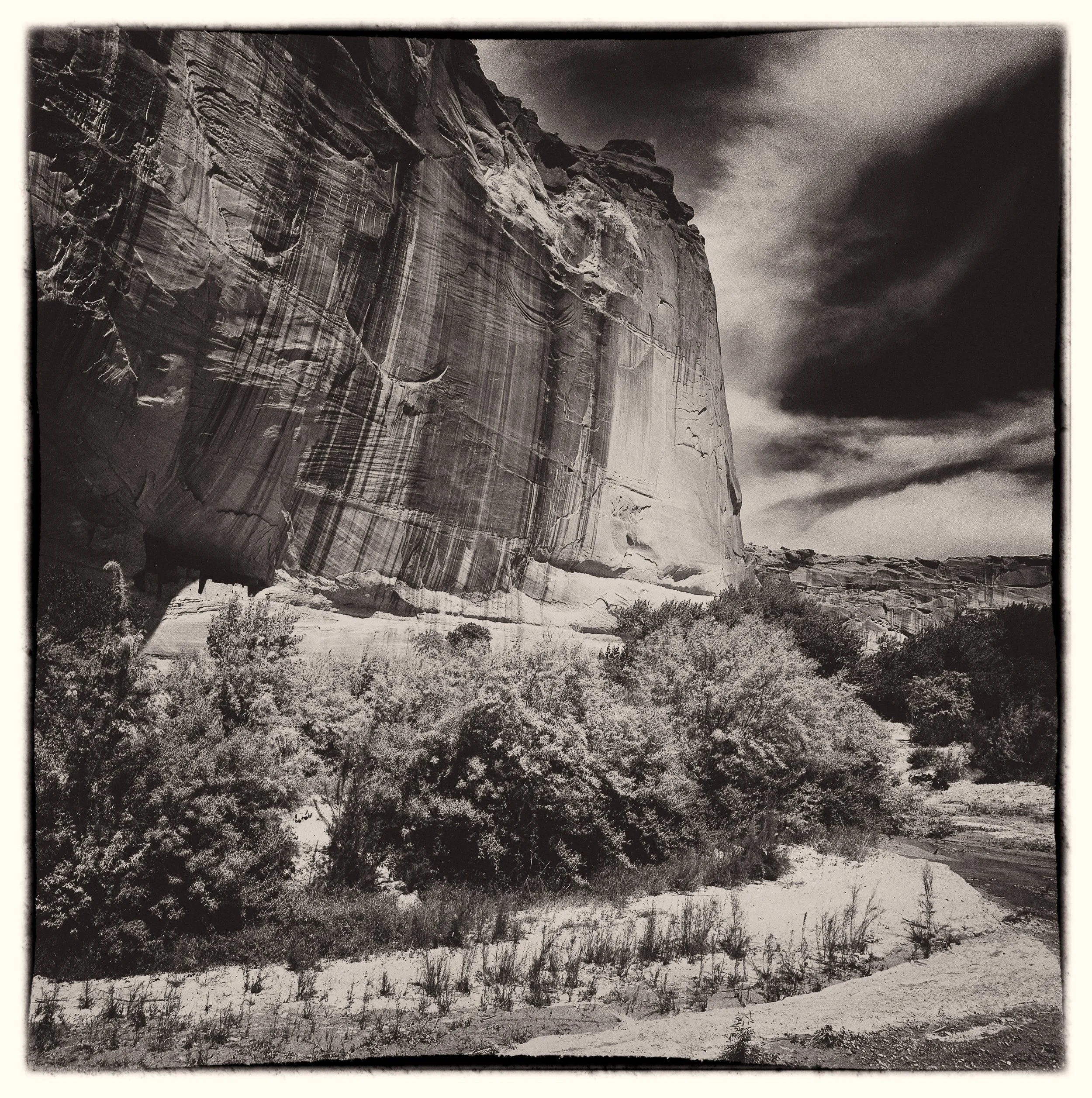 untitled (330 of 453).jpg