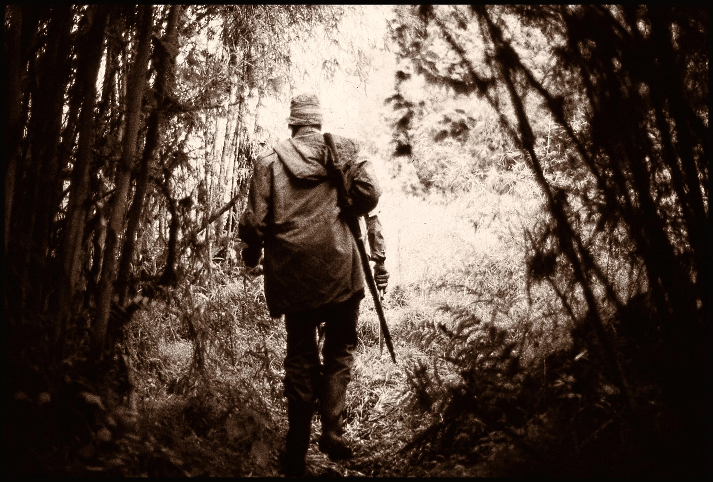 untitled (233 of 453).jpg