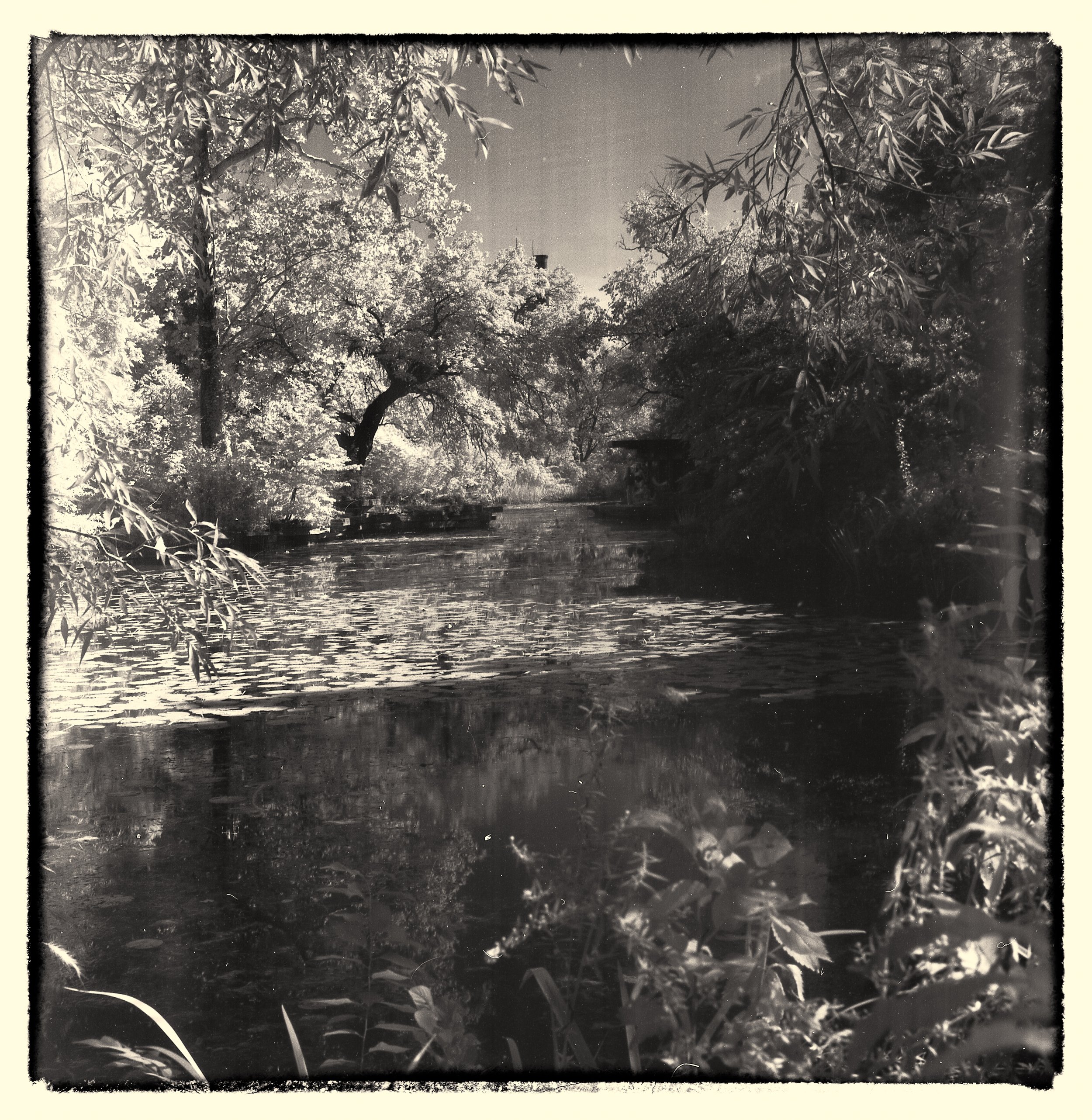 untitled (438 of 453) - Copy.jpg