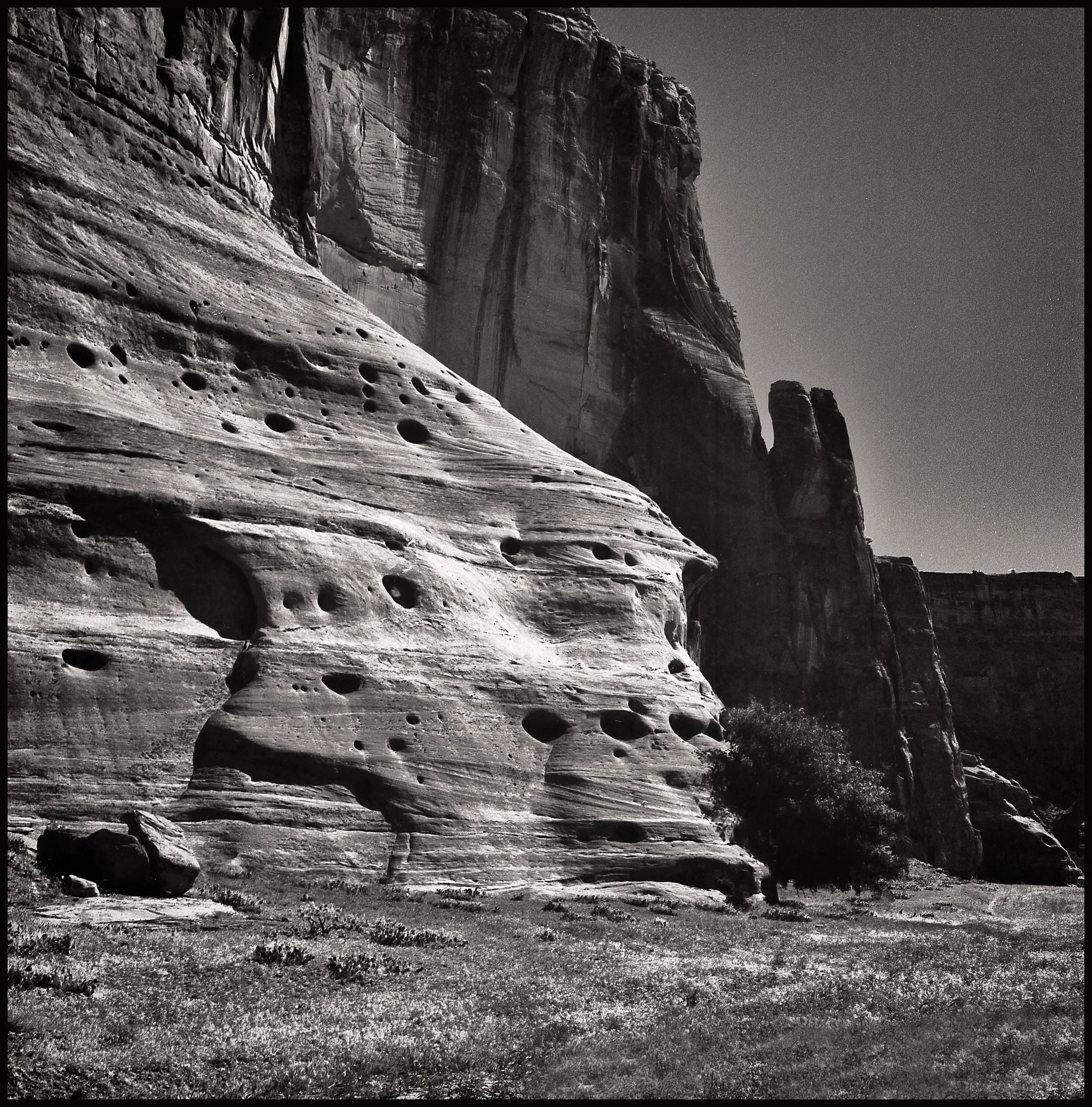 untitled (285 of 453).jpg