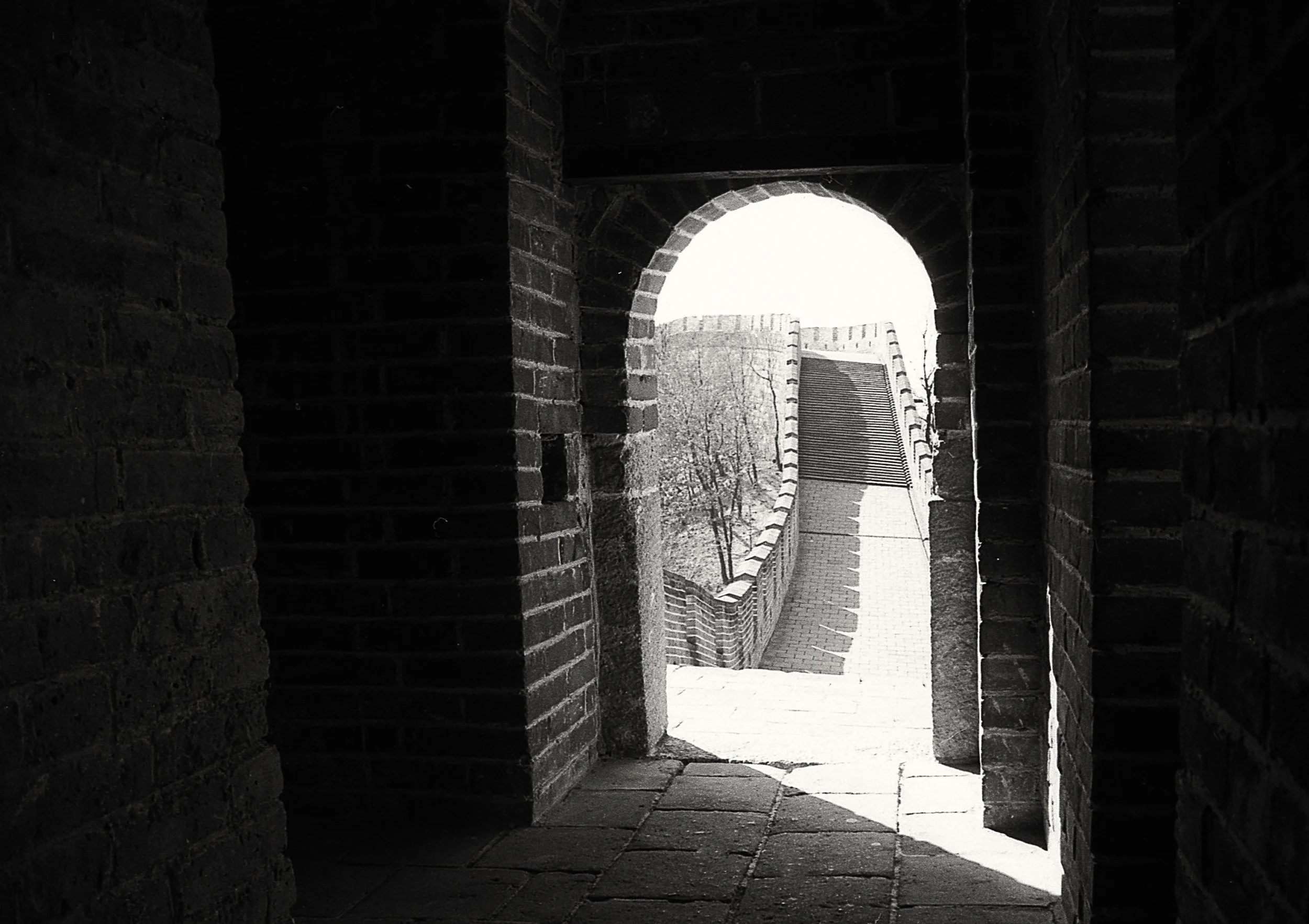 untitled (159 of 453).jpg