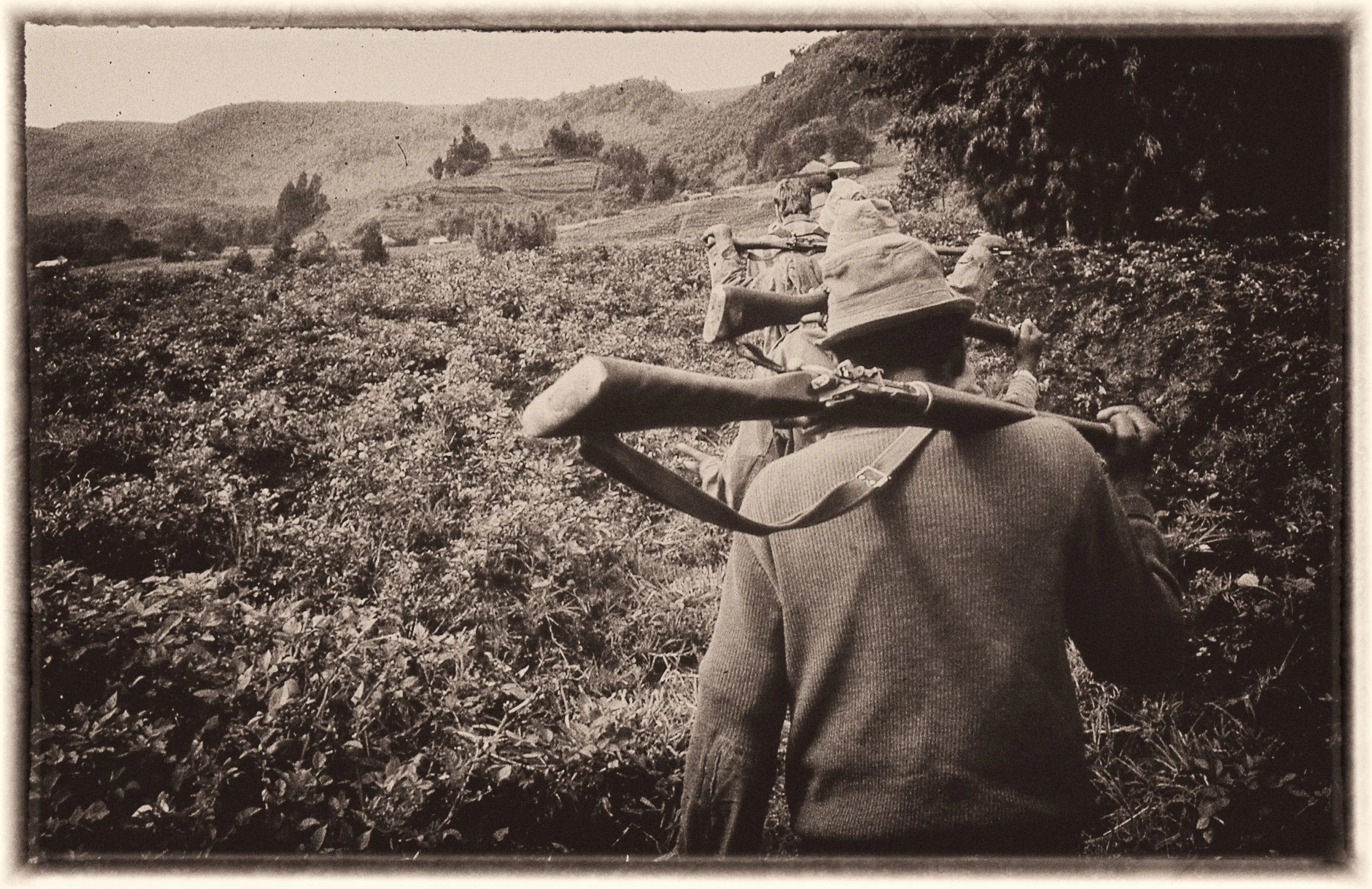 untitled (362 of 453).jpg