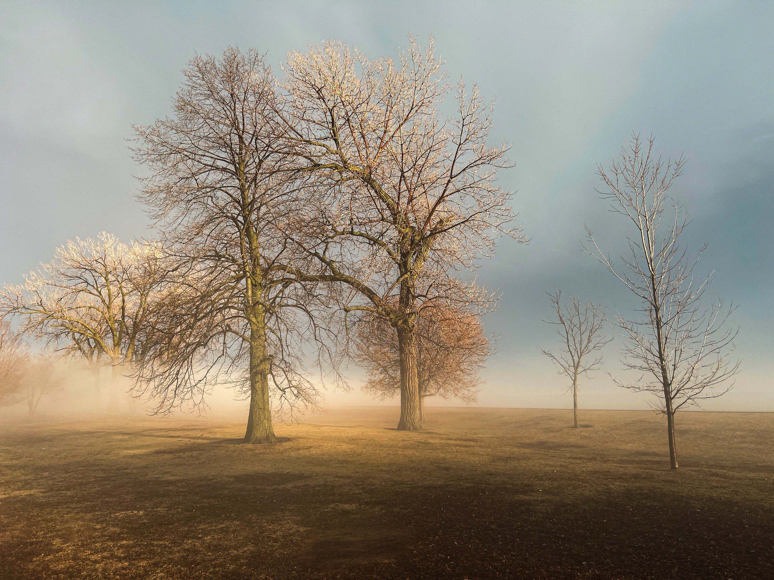 untitled (100 of 1).jpg