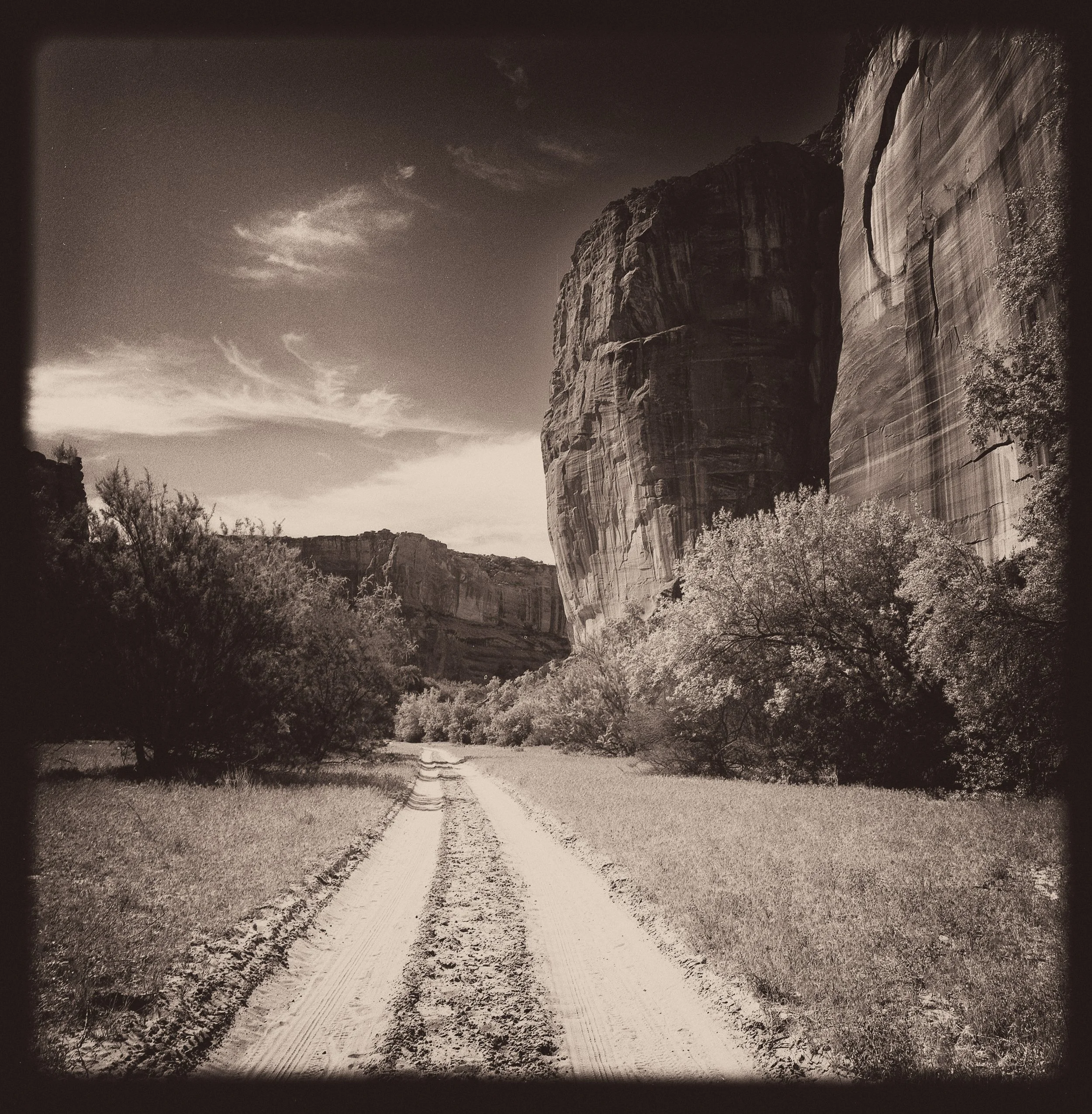 untitled (148 of 202).jpg