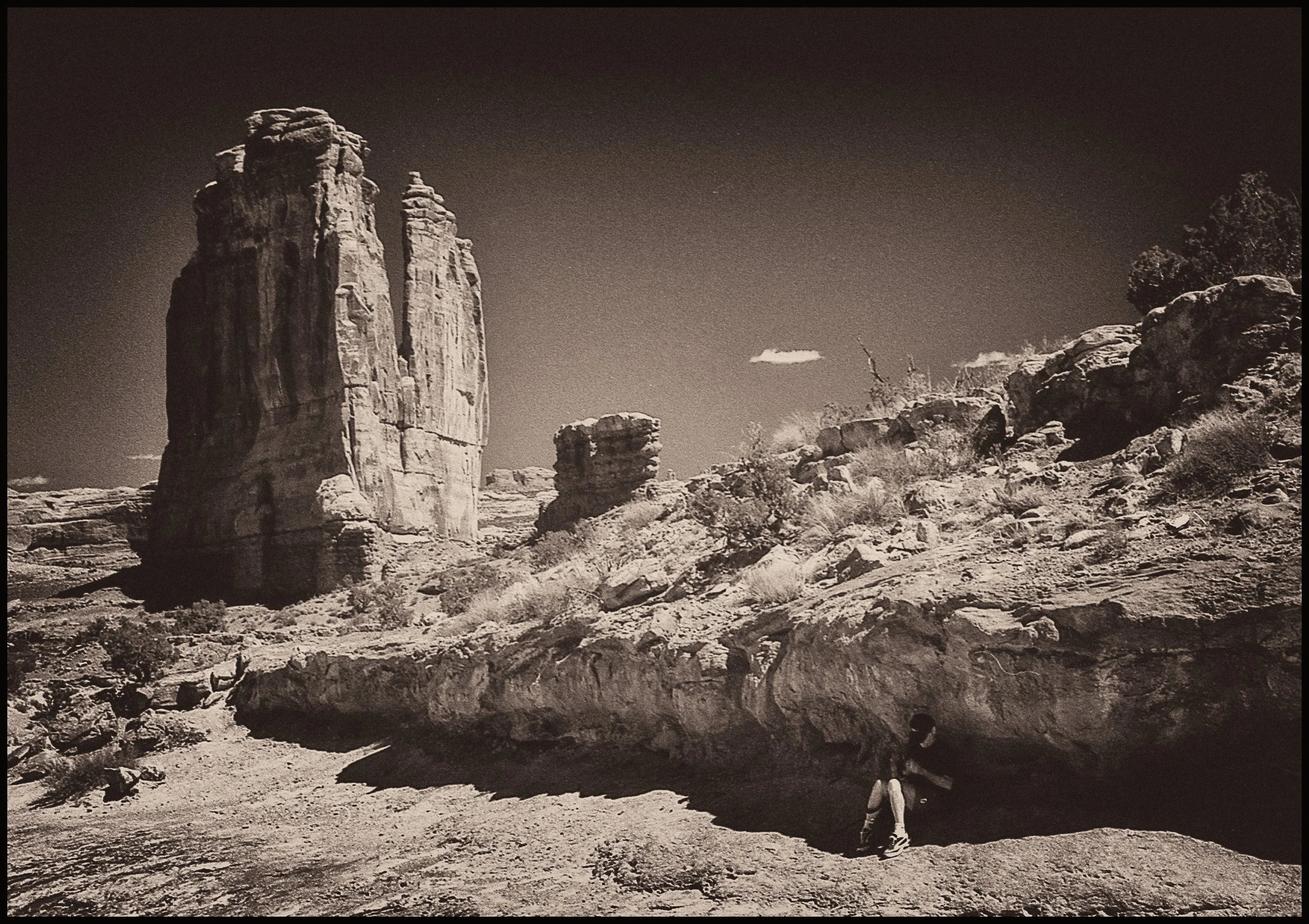 untitled (305 of 453).jpg