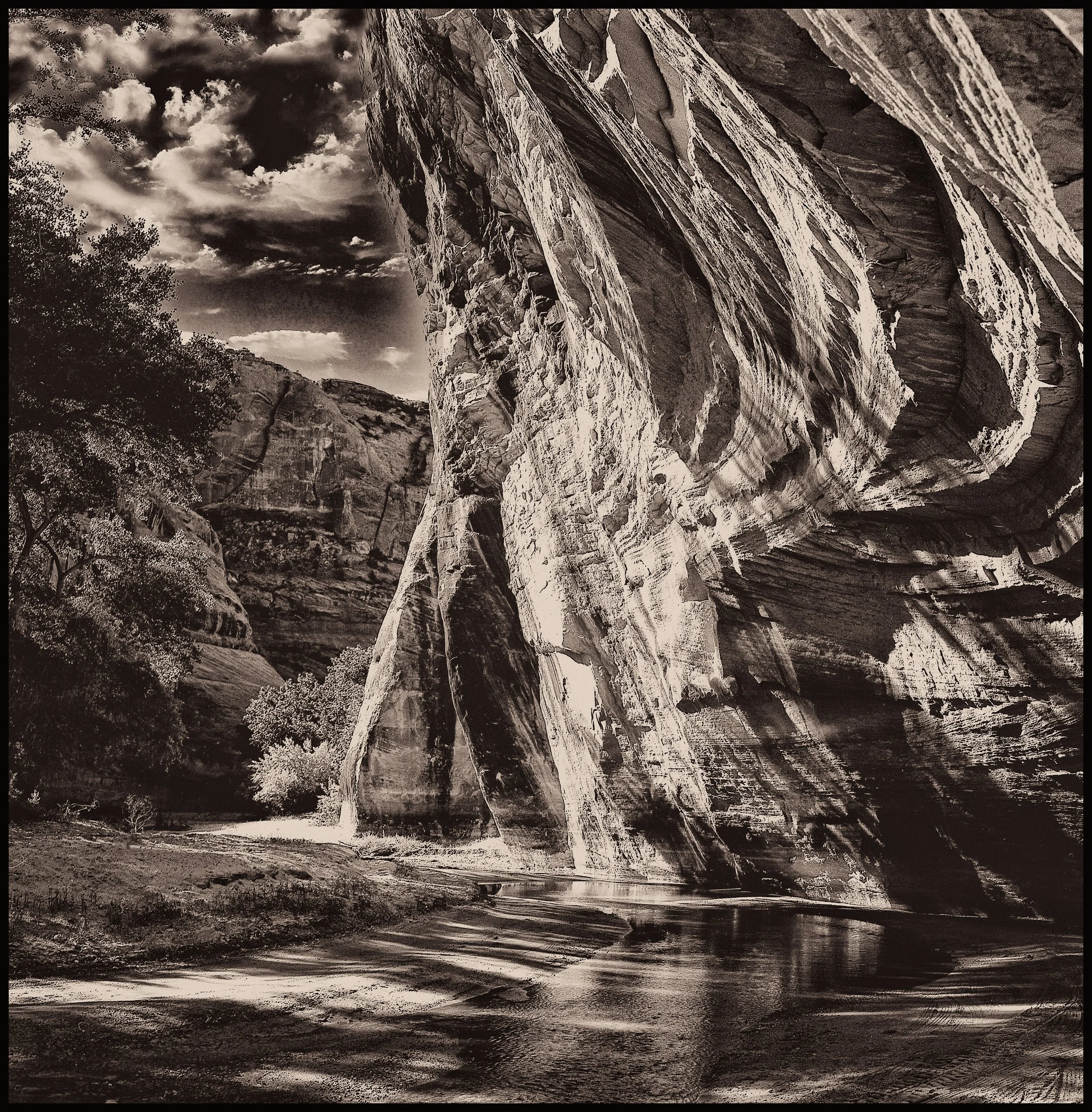 untitled (292 of 453).jpg
