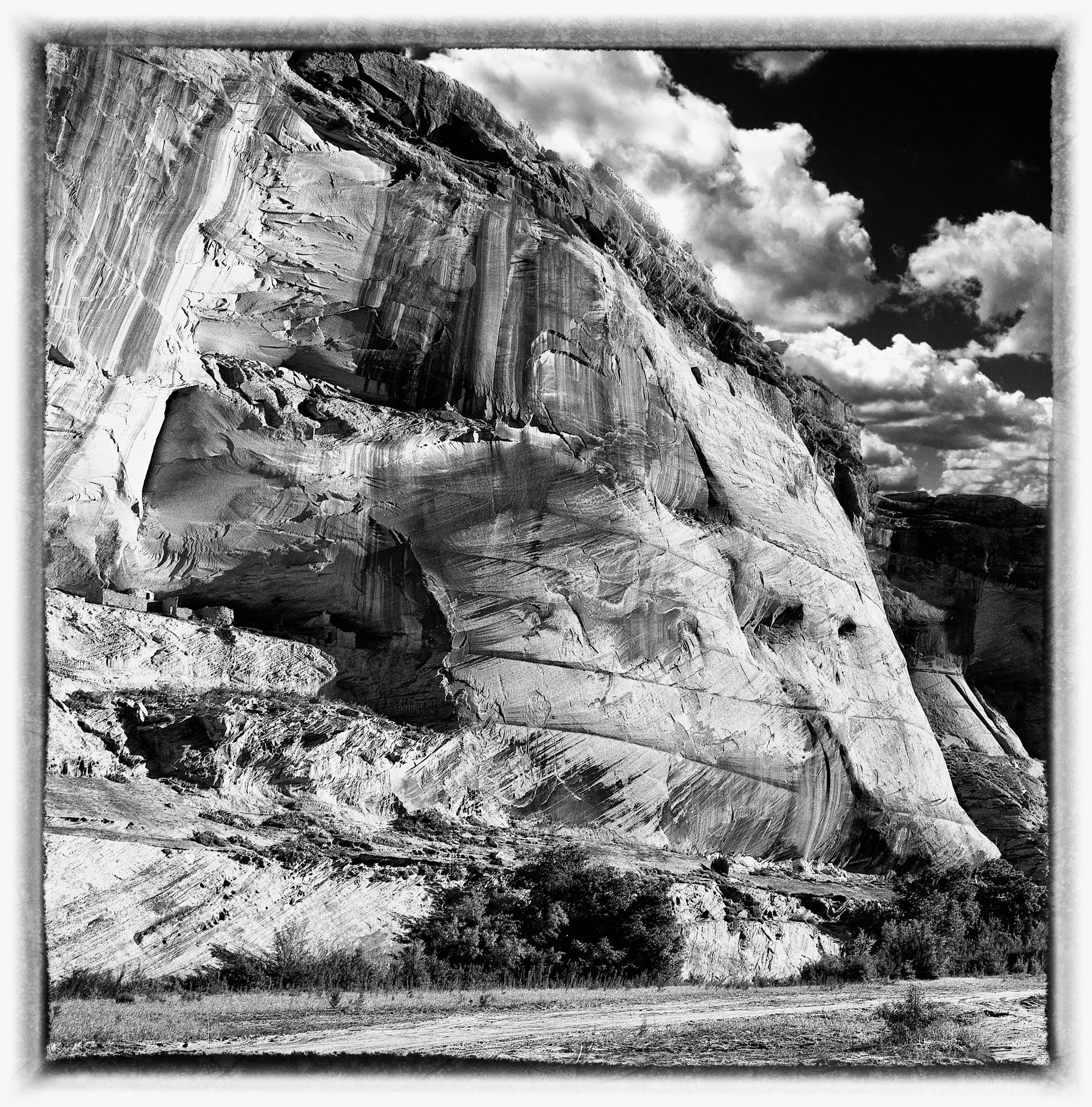 untitled (326 of 453).jpg