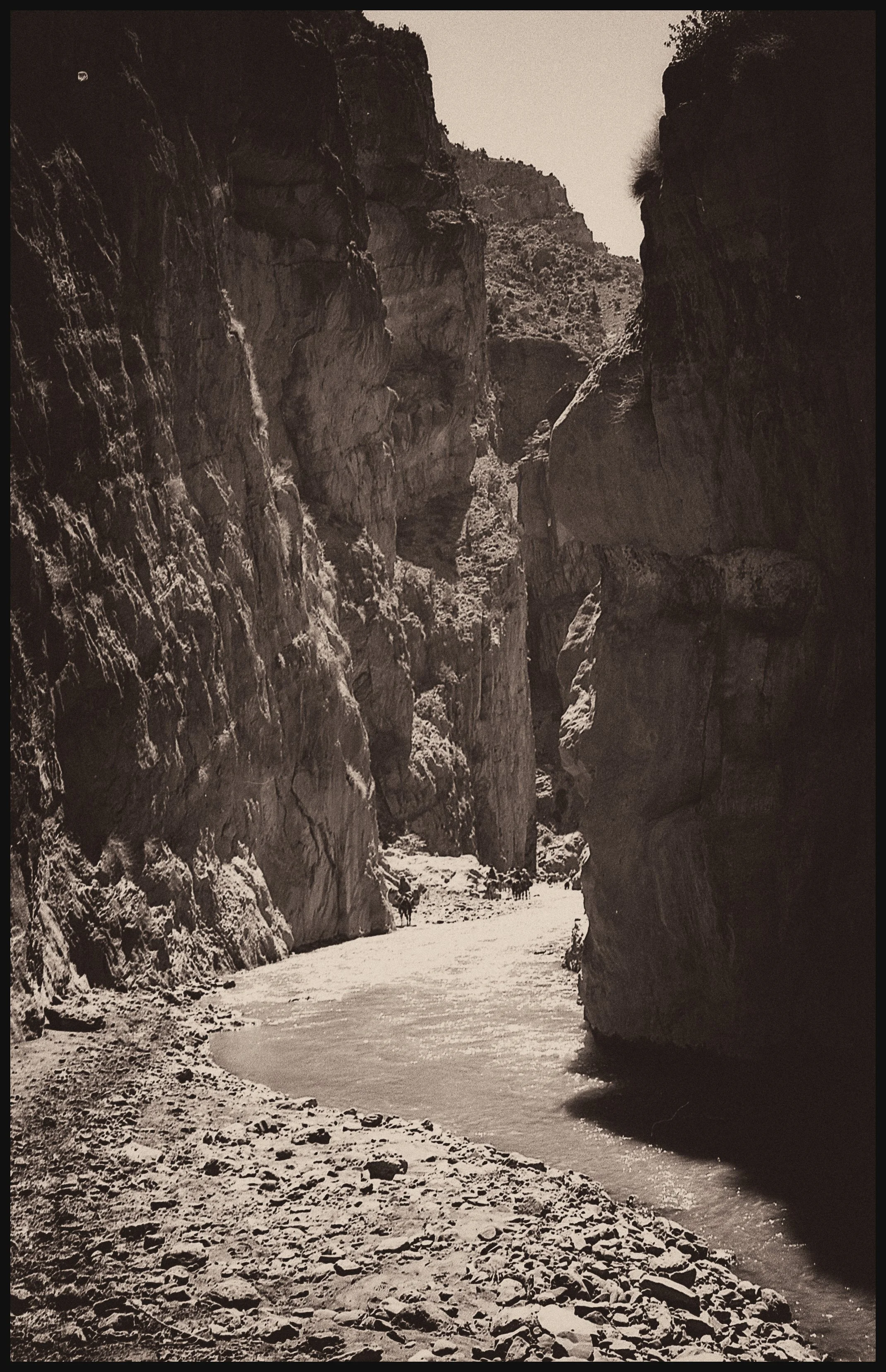 untitled (101 of 453).jpg