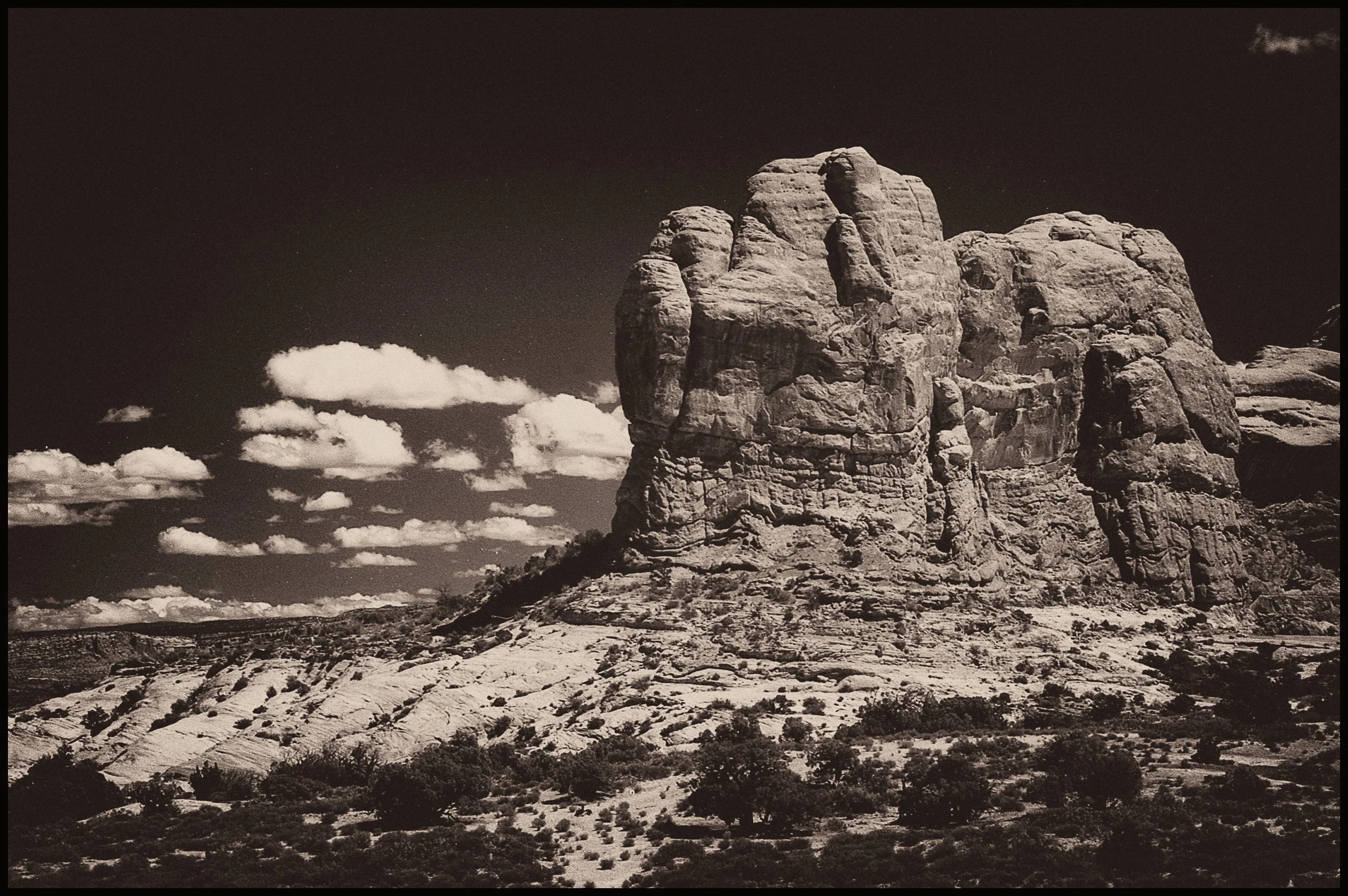untitled (36 of 175).jpg