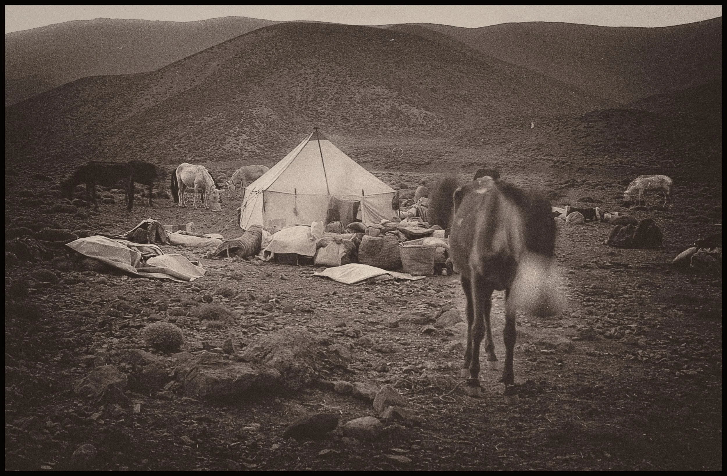 untitled (34 of 175).jpg