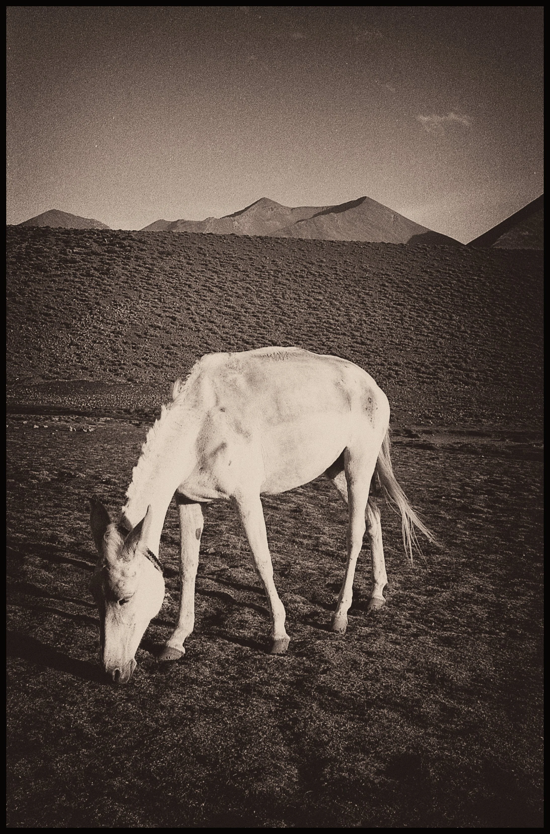 untitled (58 of 175).jpg