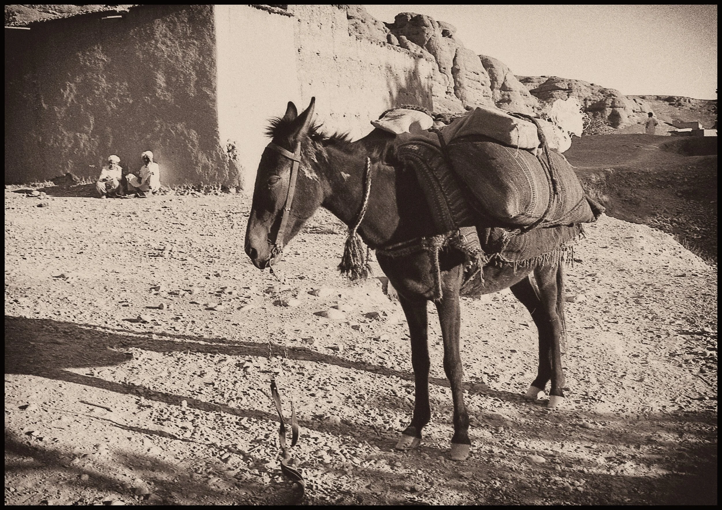 untitled (221 of 453).jpg