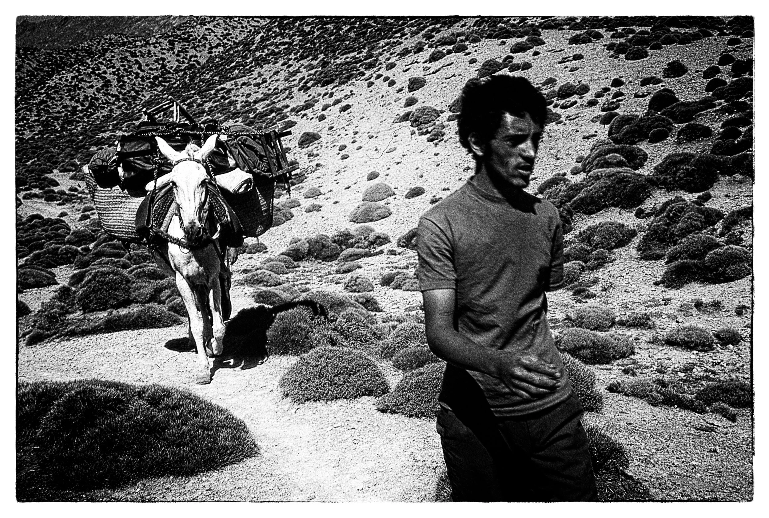 untitled (155 of 202).jpg