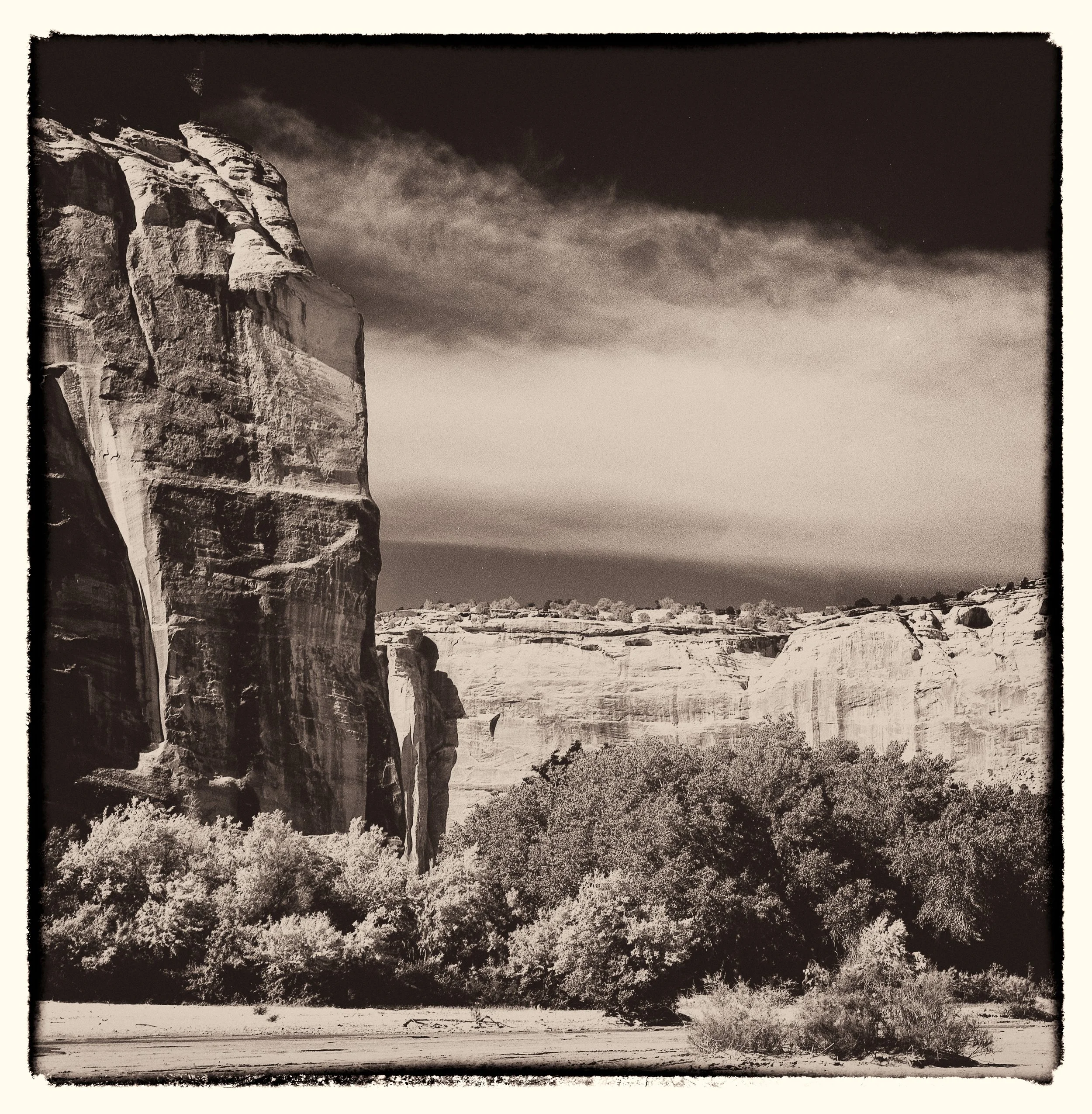 untitled (328 of 453).jpg