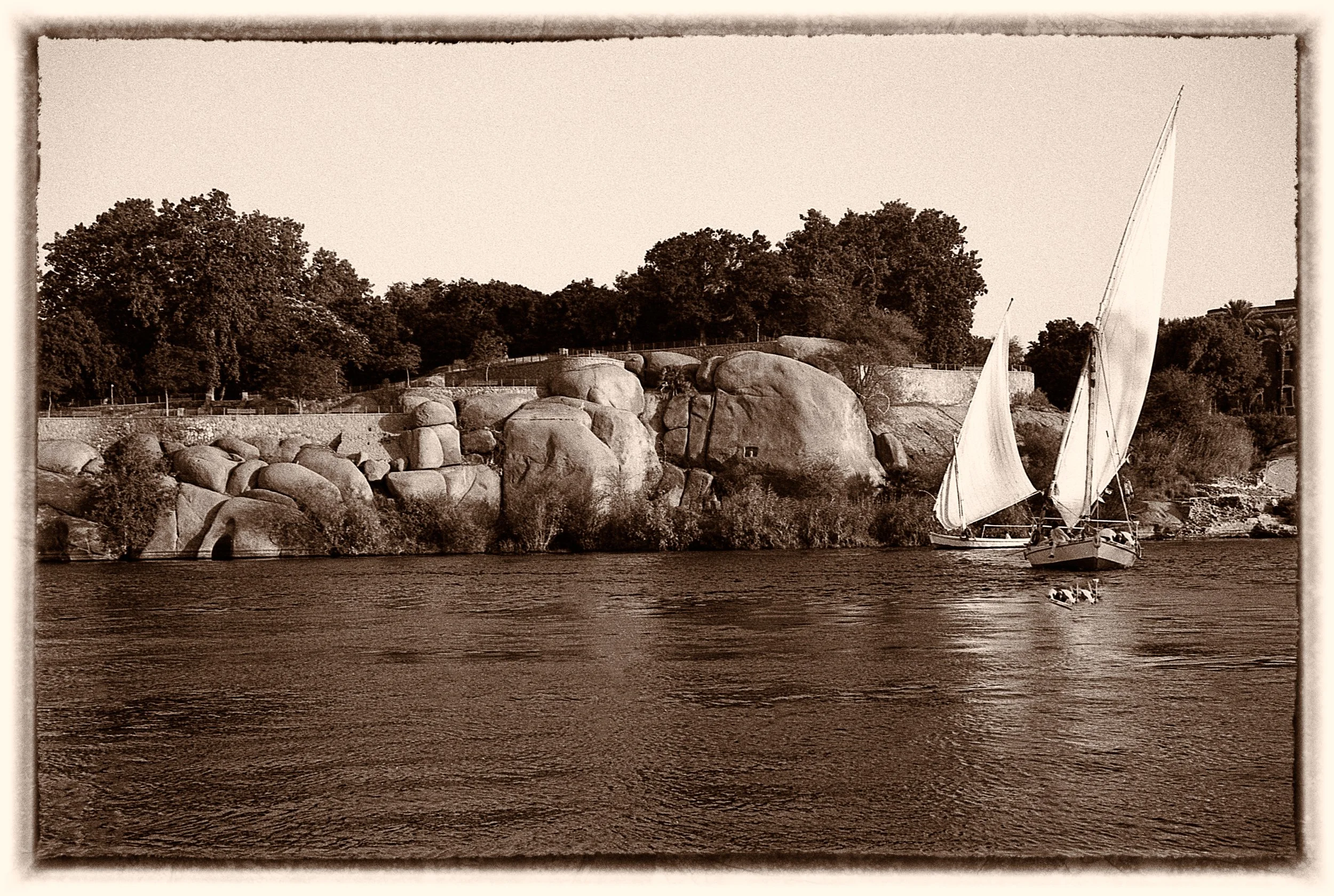 untitled (238 of 453).jpg