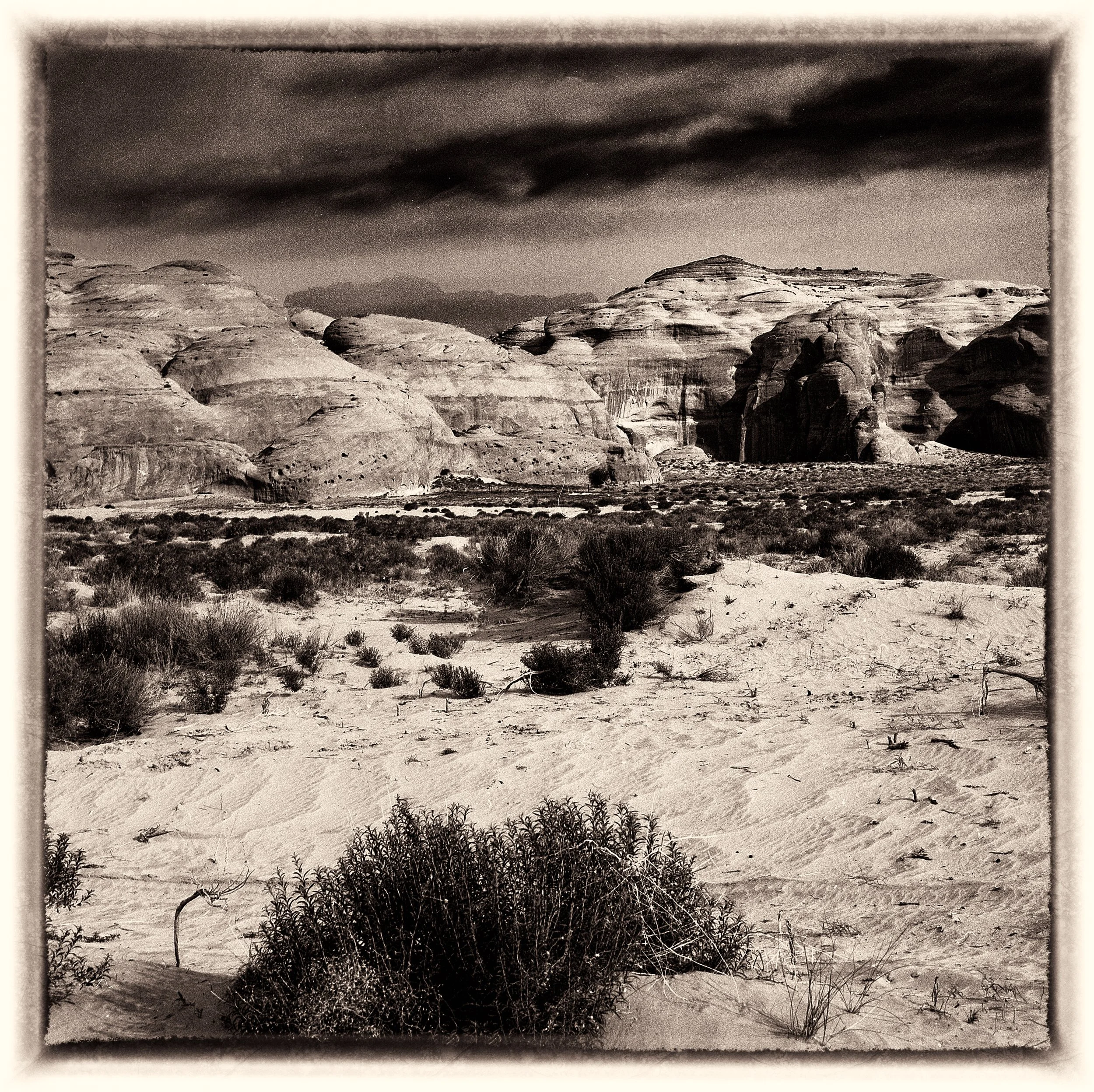 untitled (337 of 453).jpg