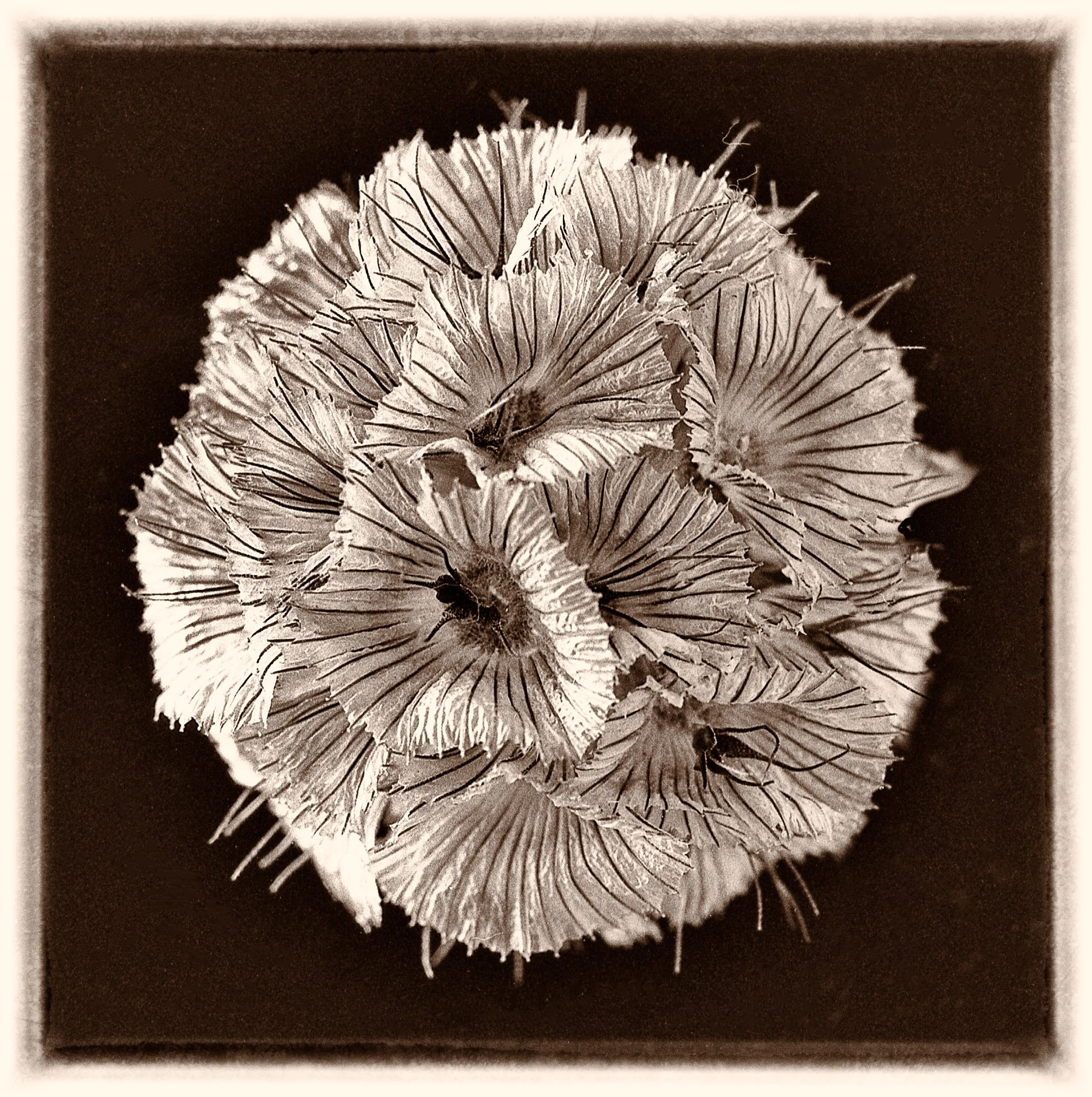 untitled (168 of 202).jpg