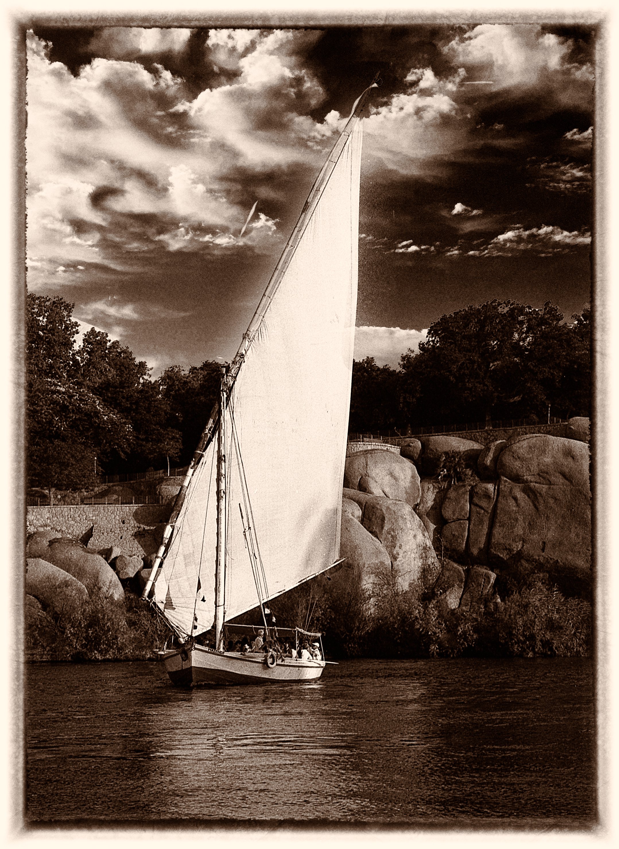 untitled (237 of 453).jpg