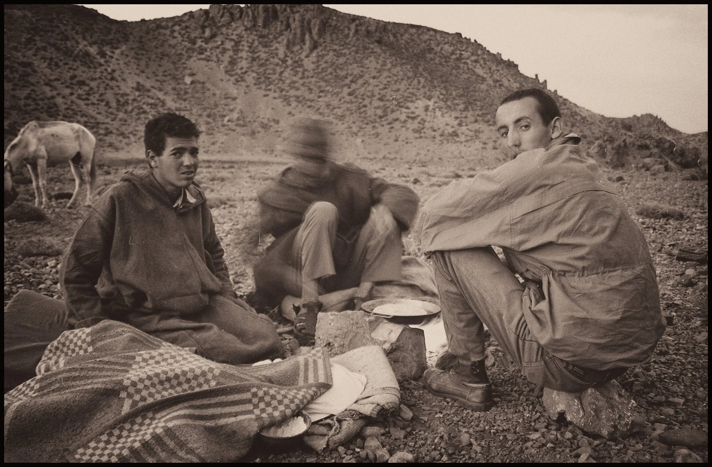 untitled (44 of 202).jpg