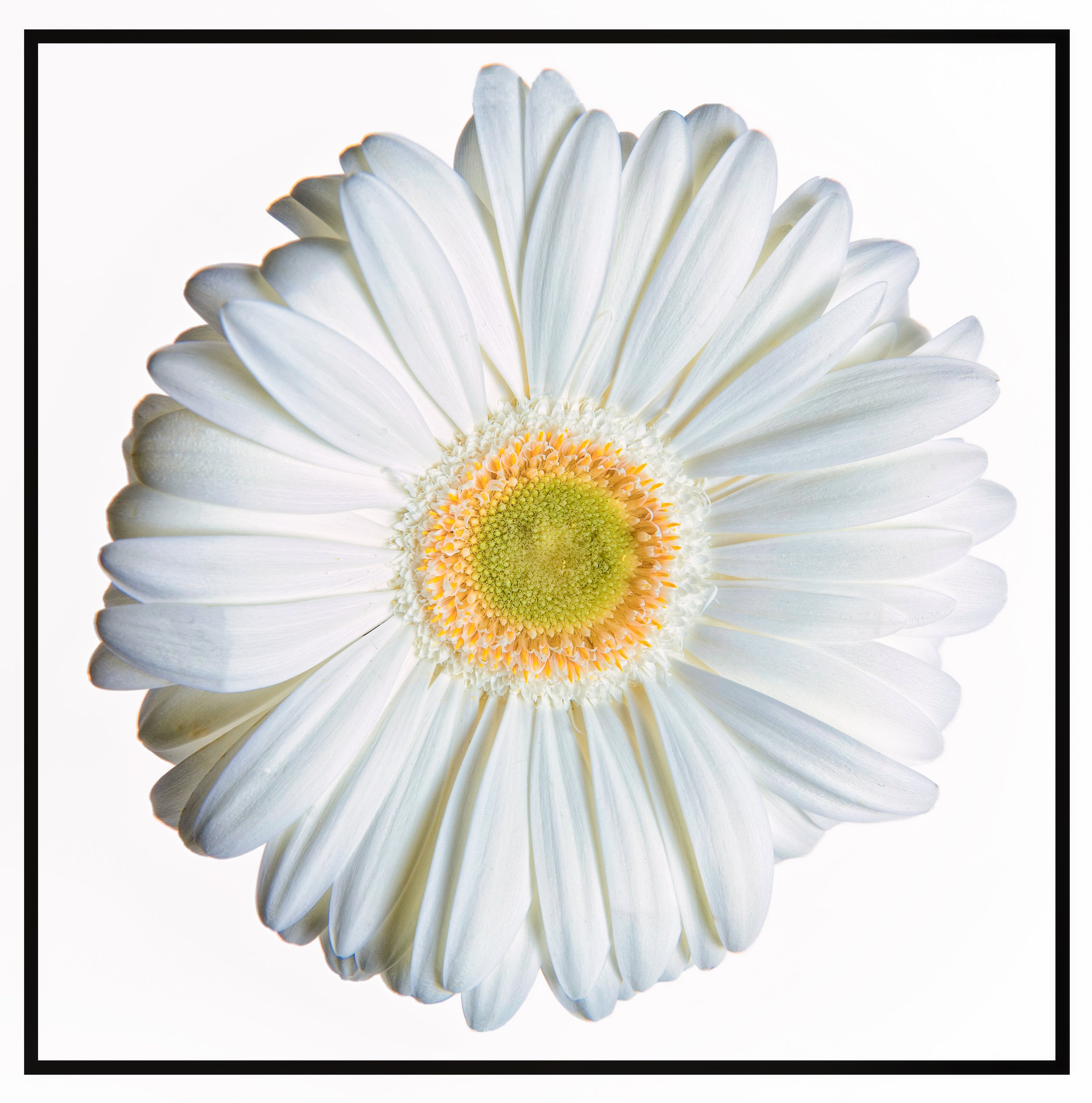 untitled (3 of 453).jpg