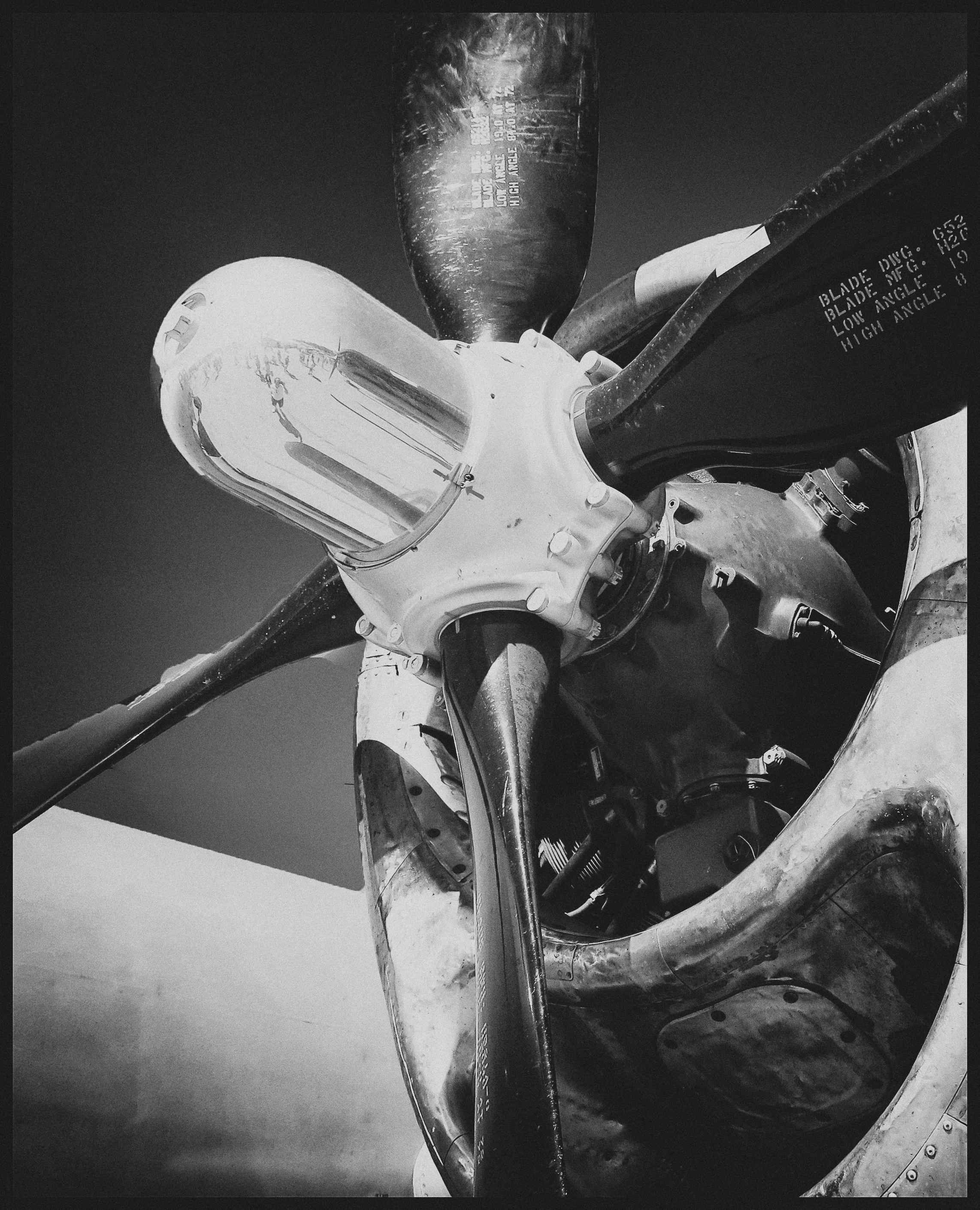 untitled (5 of 175).jpg