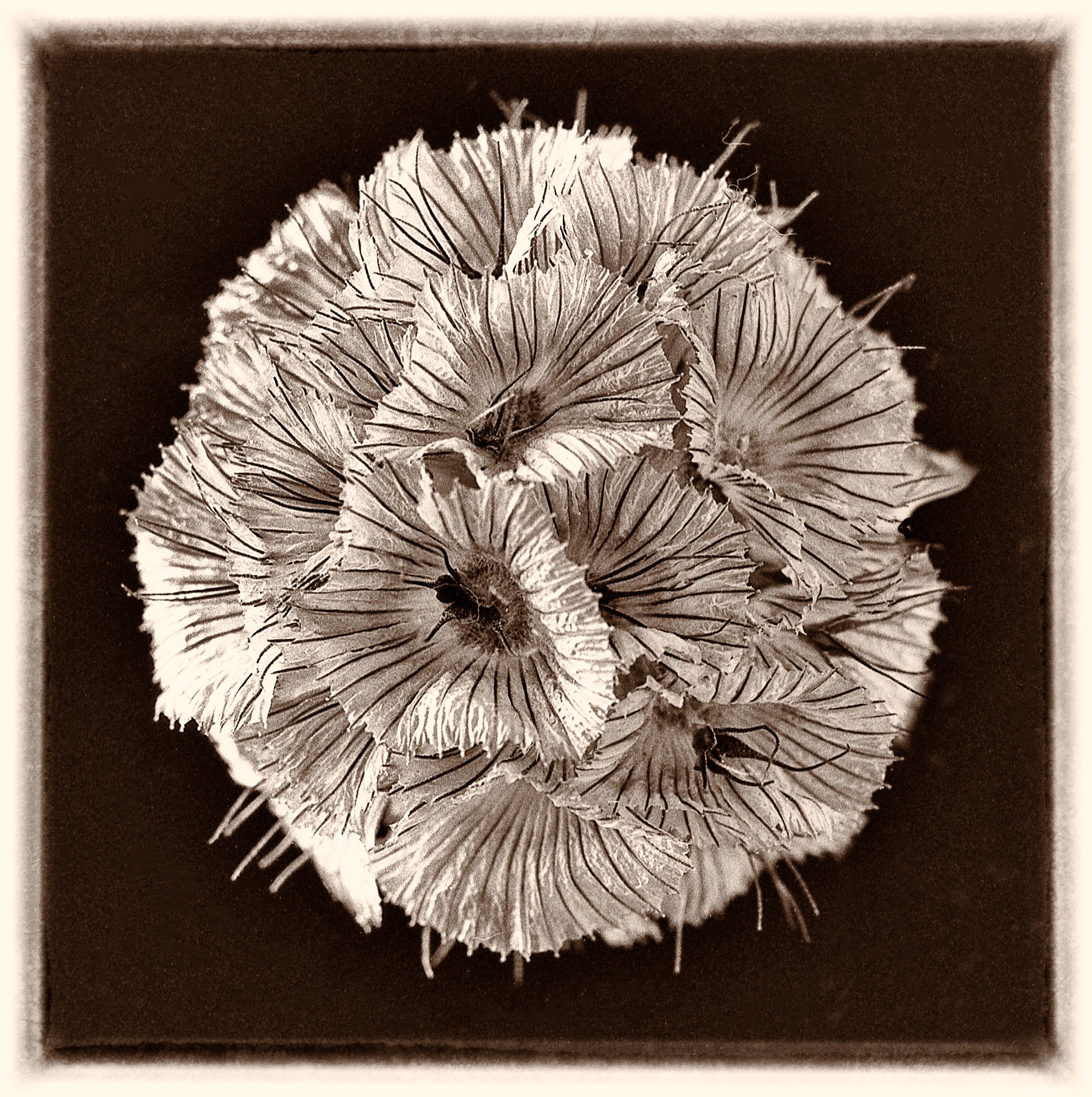 untitled (380 of 453).jpg