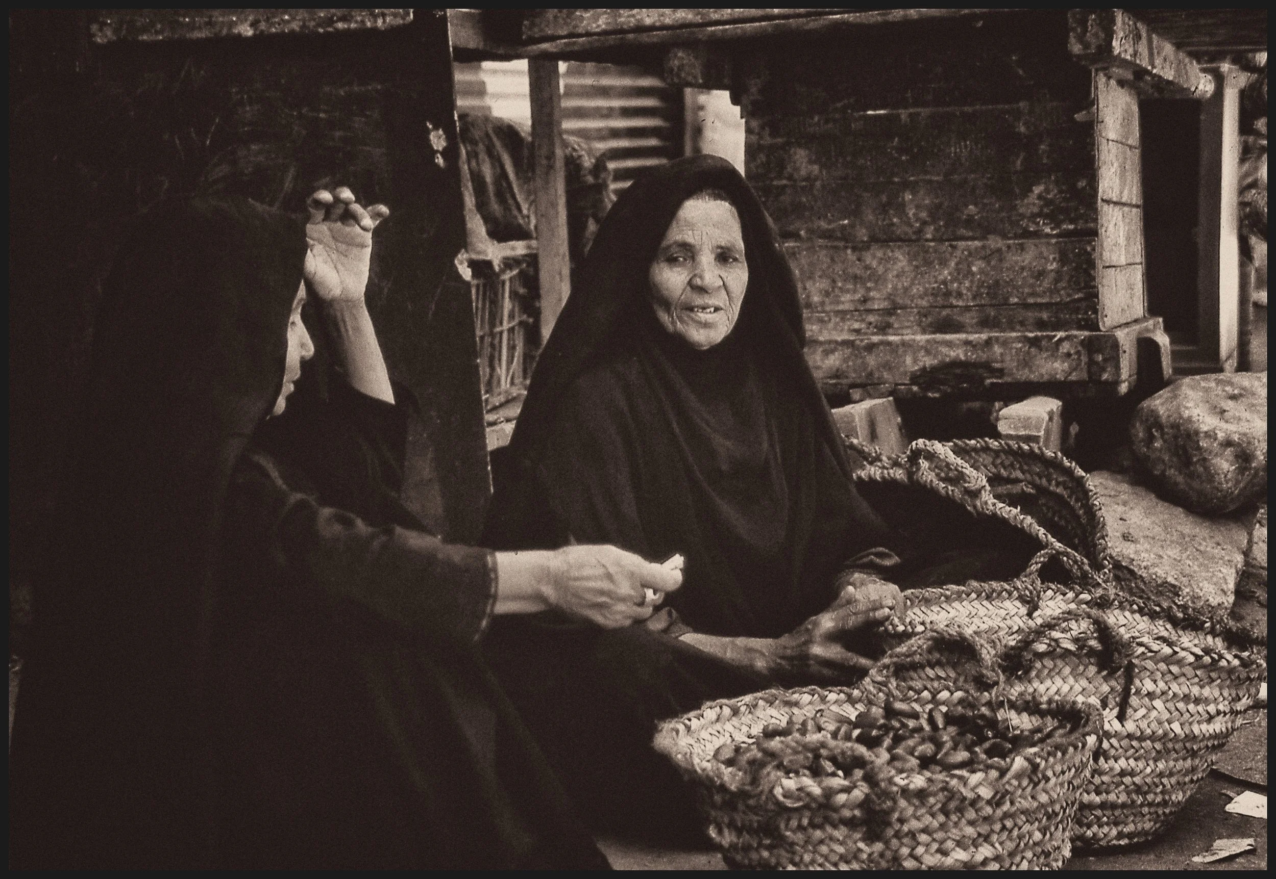 untitled (353 of 453).jpg