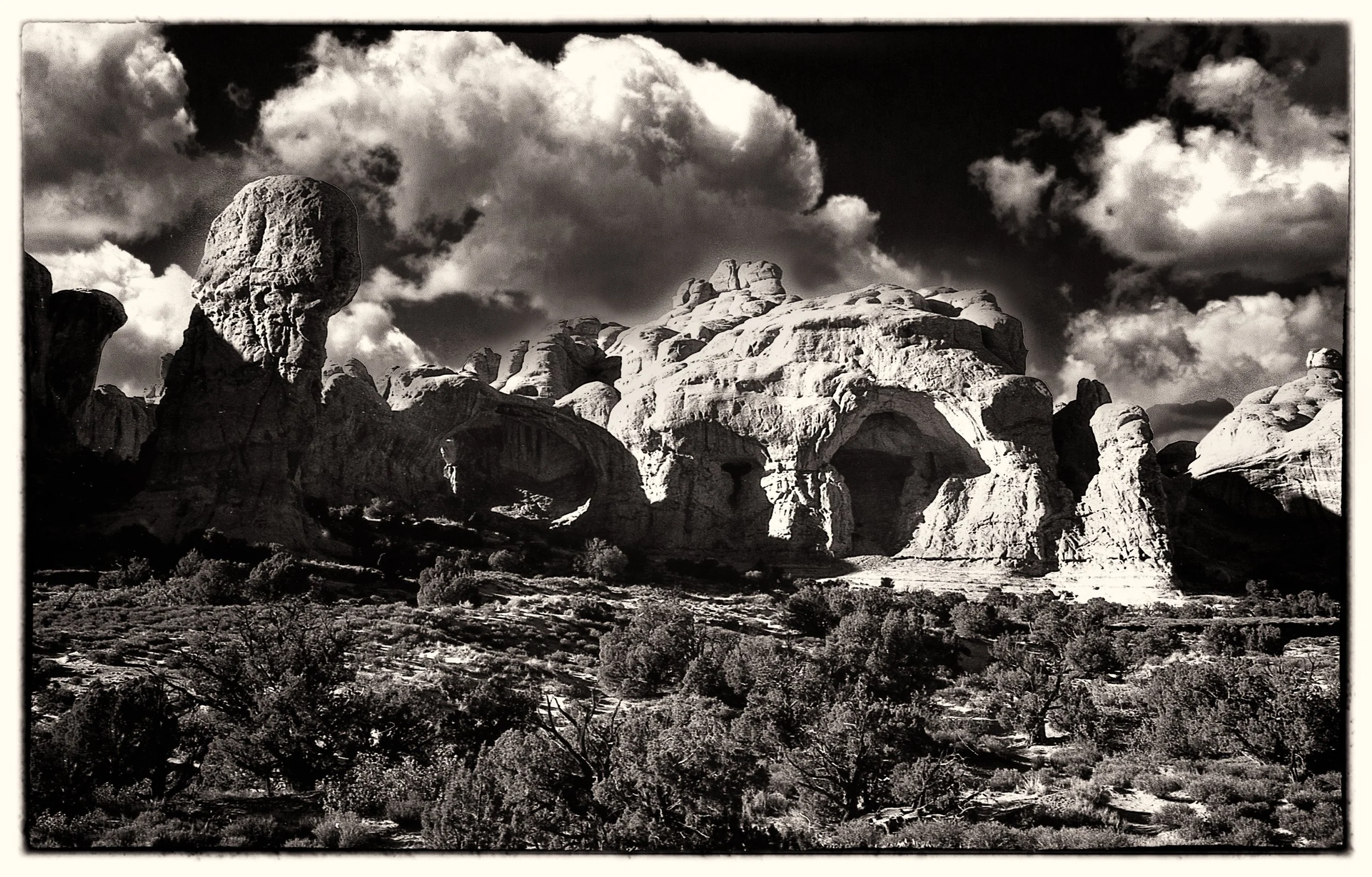 untitled (304 of 453).jpg