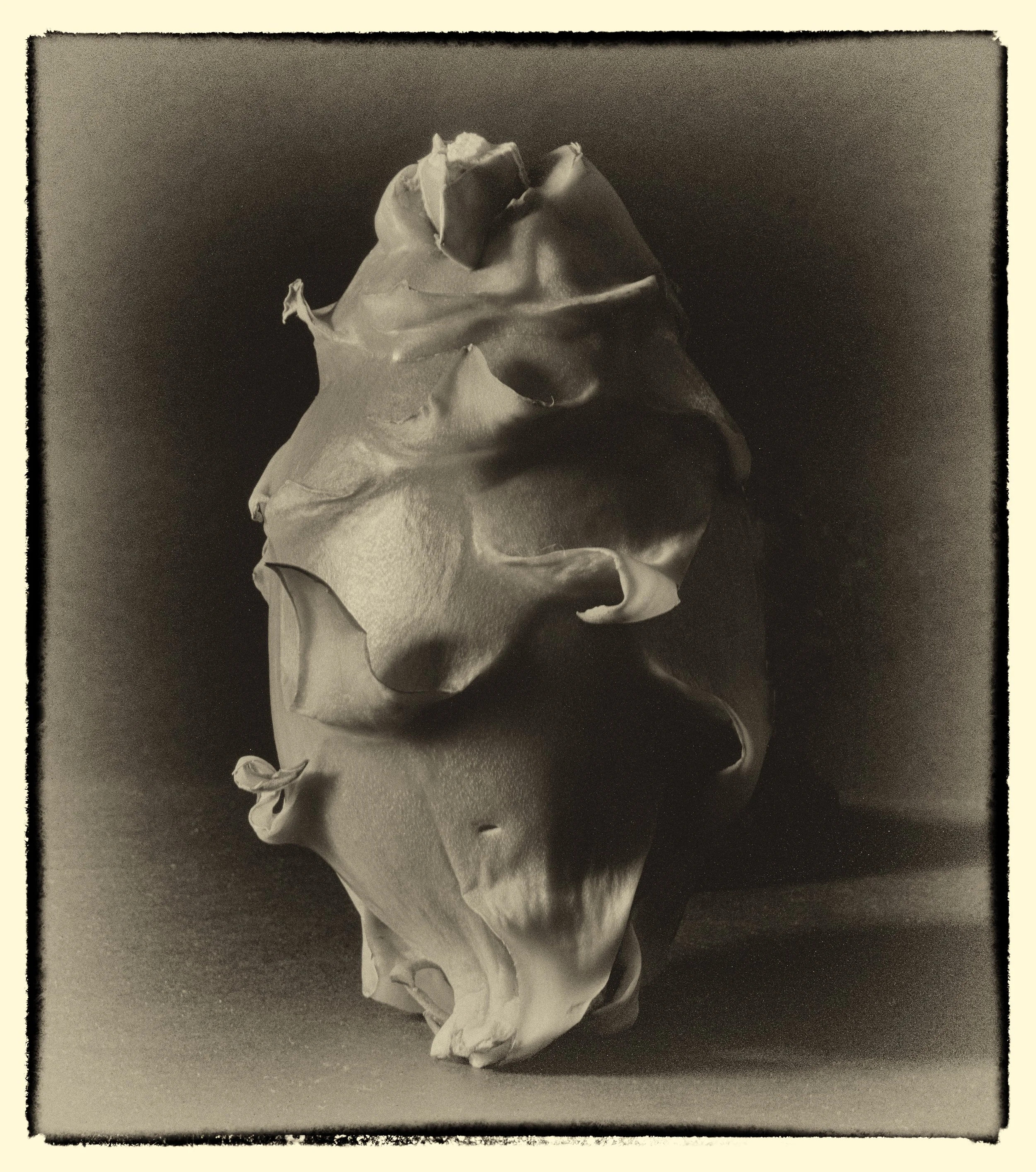 untitled (1 of 3).jpg