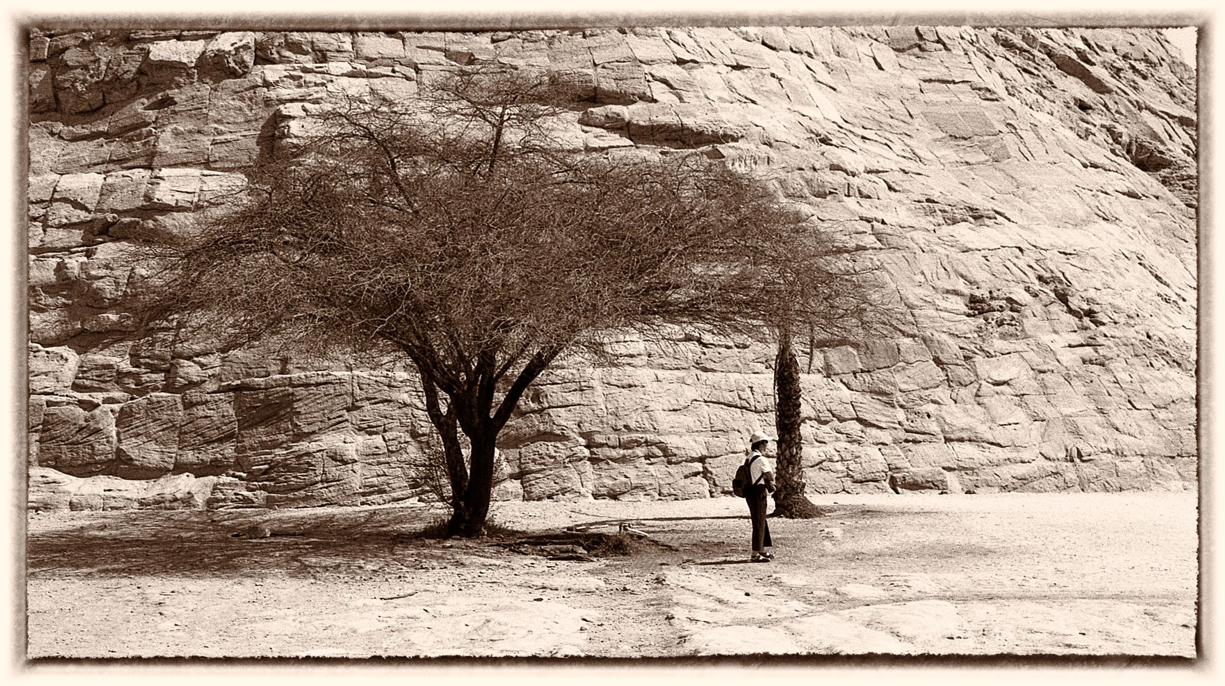 untitled (66 of 202).jpg