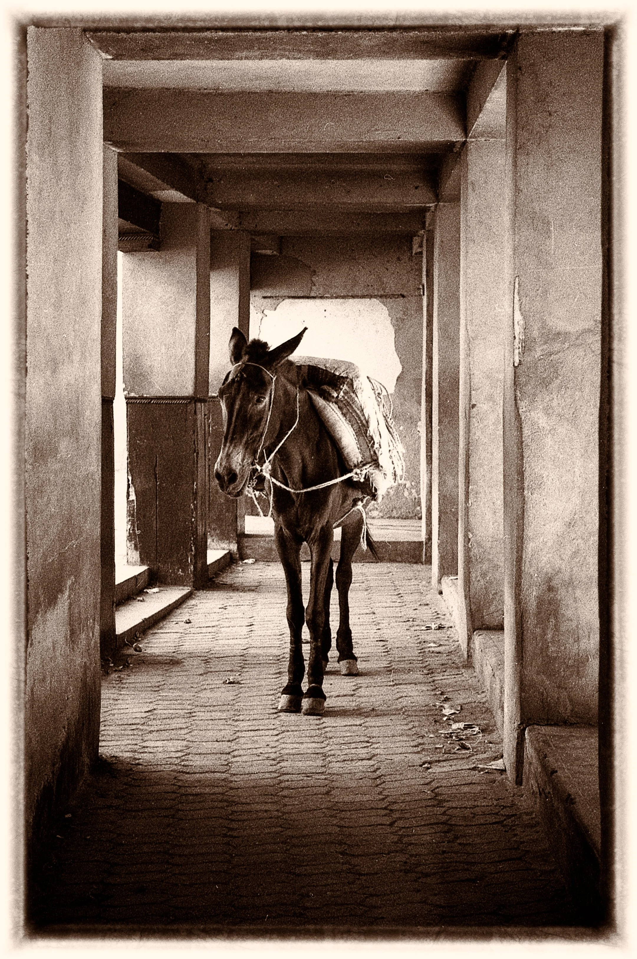 untitled (82 of 175).jpg