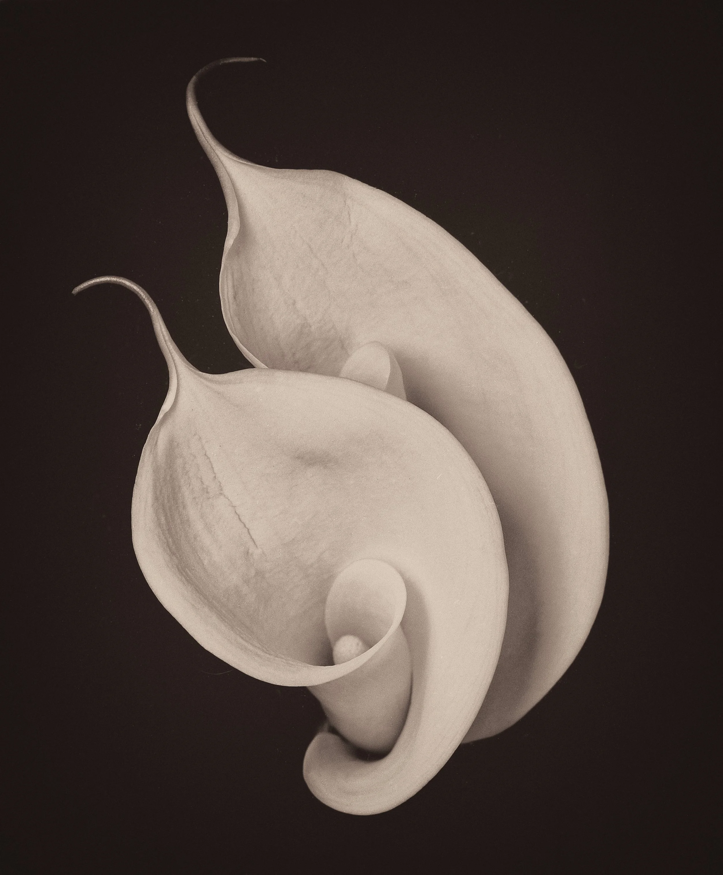 untitled (166 of 202).jpg